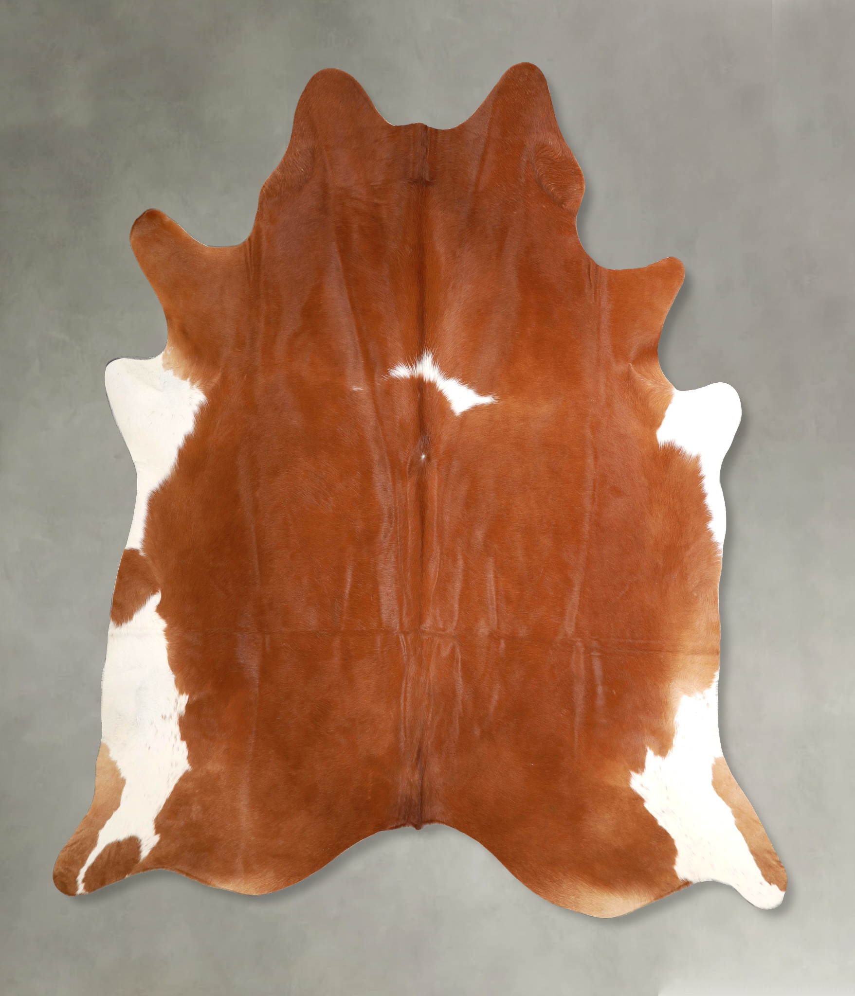 Brown and White Regular Cowhide Rug #A49696