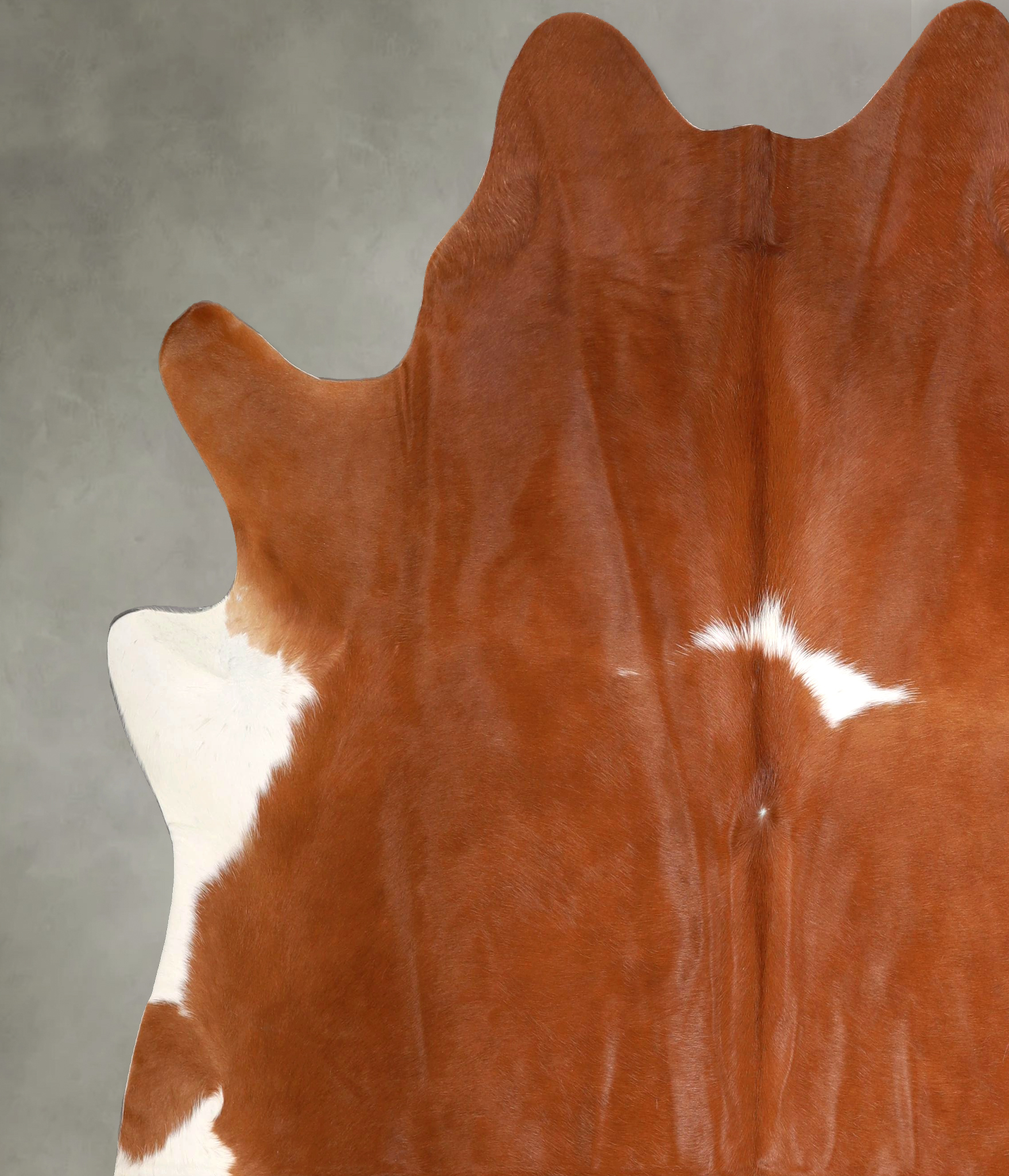 Brown and White Regular Cowhide Rug #A49696