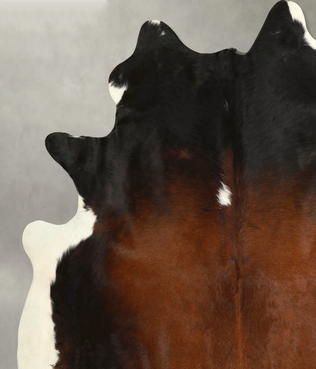 Chocolate and White XX-Large Brazilian Cowhide Rug 7'9"H x 7'0"W #A49707 by Hudson Hides