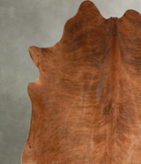 Medium Brindle X-Large Brazilian Cowhide Rug 6'5"H x 6'9"W #A49713 by Hudson Hides