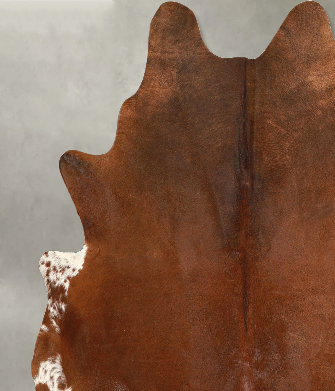 Solid Brown X-Large Brazilian Cowhide Rug 7'0"H x 6'8"W #A49727 by Hud