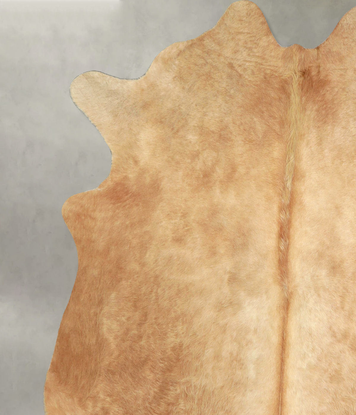 Beige X-Large Brazilian Cowhide Rug 7'0"H x 6'3"W #A49745 by Hudson Hides