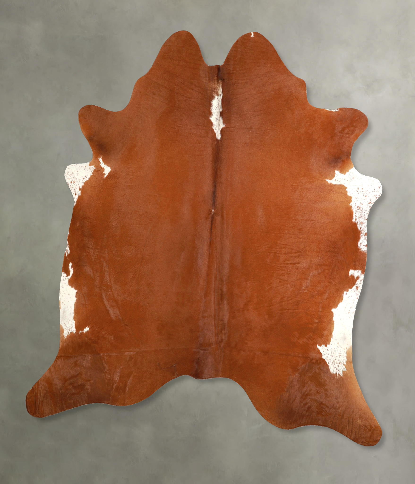 Brown and White Regular Cowhide Rug #A49746