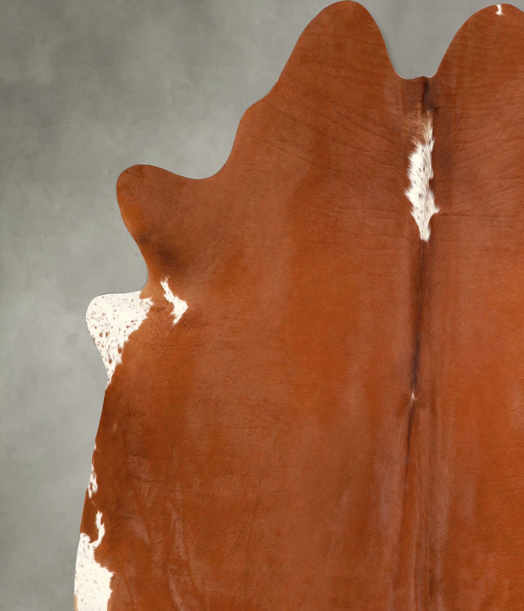Brown and White Regular Cowhide Rug #A49746