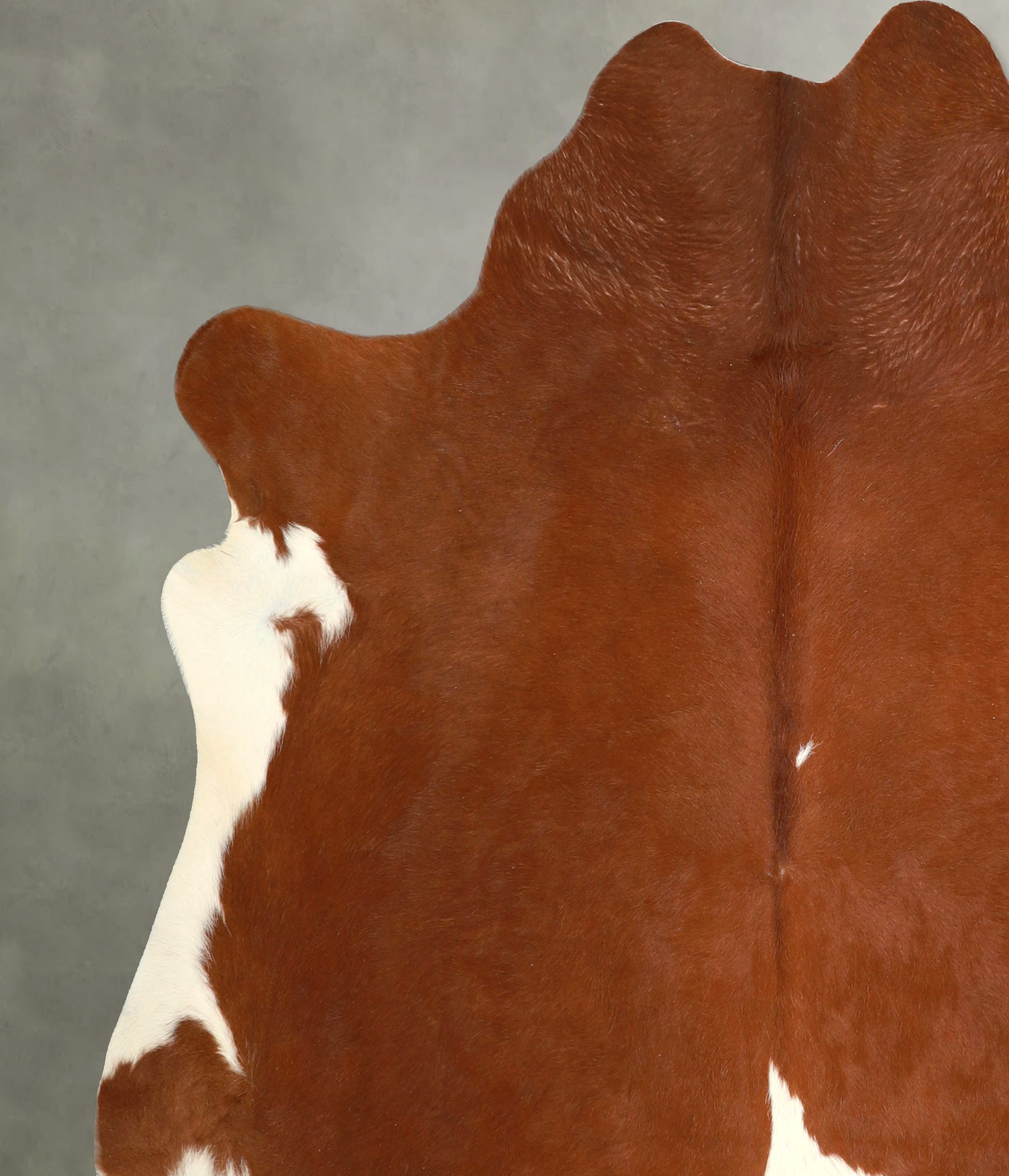 Brown and White Cowhide Rug #A49748