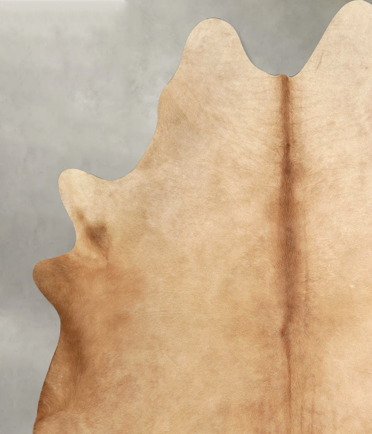 Beige X-Large Brazilian Cowhide Rug 6'9"H x 6'4"W #A49749 by Hudson Hides