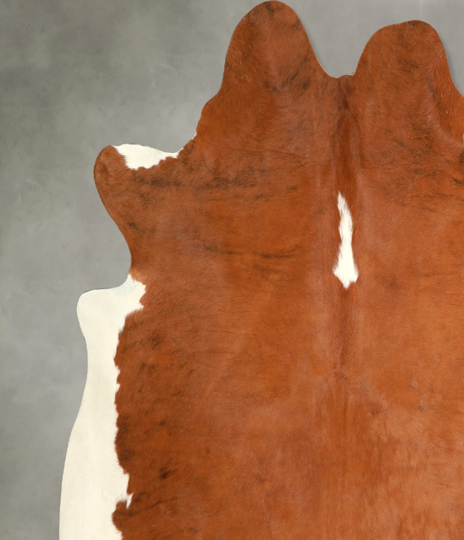 Brown and White Regular Cowhide Rug #A49752