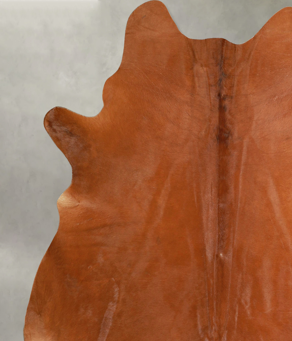 Solid Brown X-Large Brazilian Cowhide Rug 7'6"H x 6'6"W #A49757 by Hudson Hides