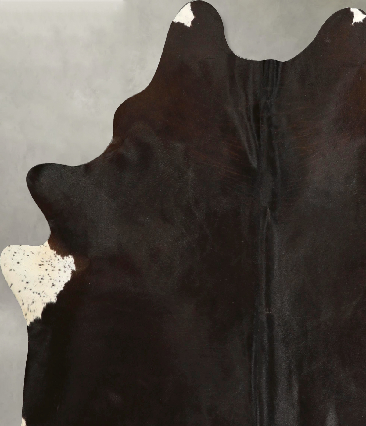 Solid Black X-Large Brazilian Cowhide Rug 6'11"H x 6'1"W #A49760 by Hudson Hides