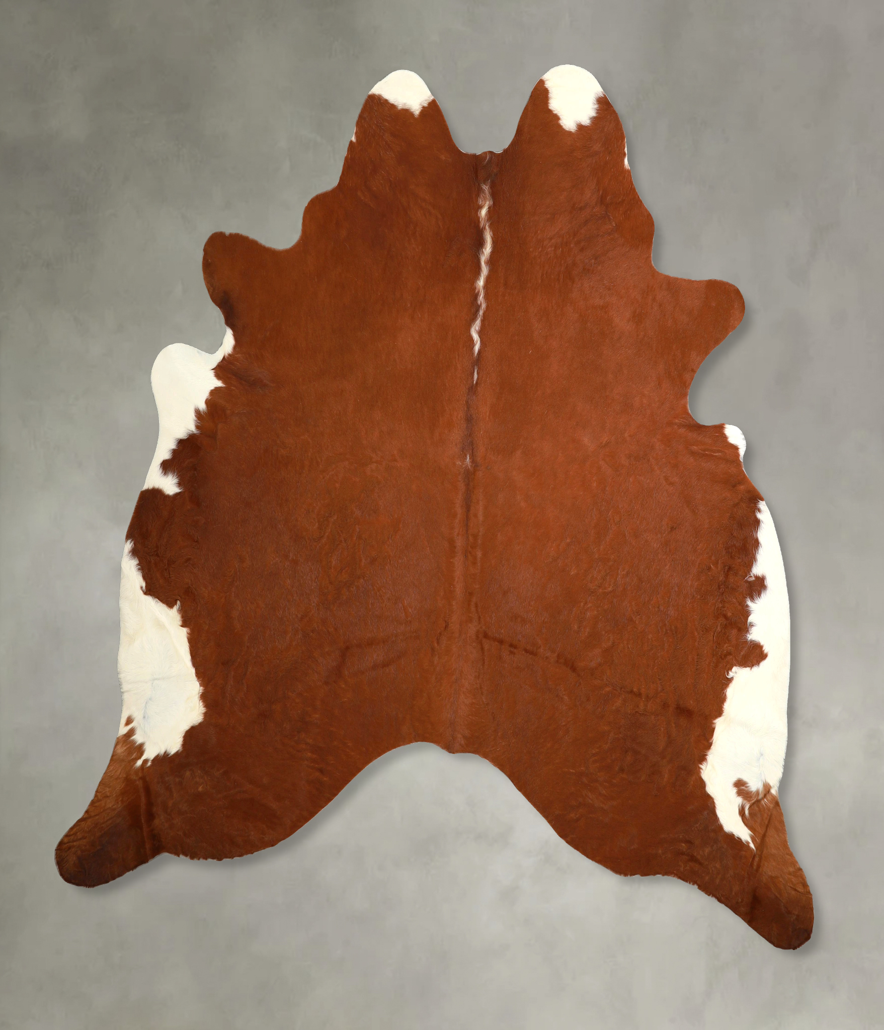 Brown and White Regular Cowhide Rug #A49762