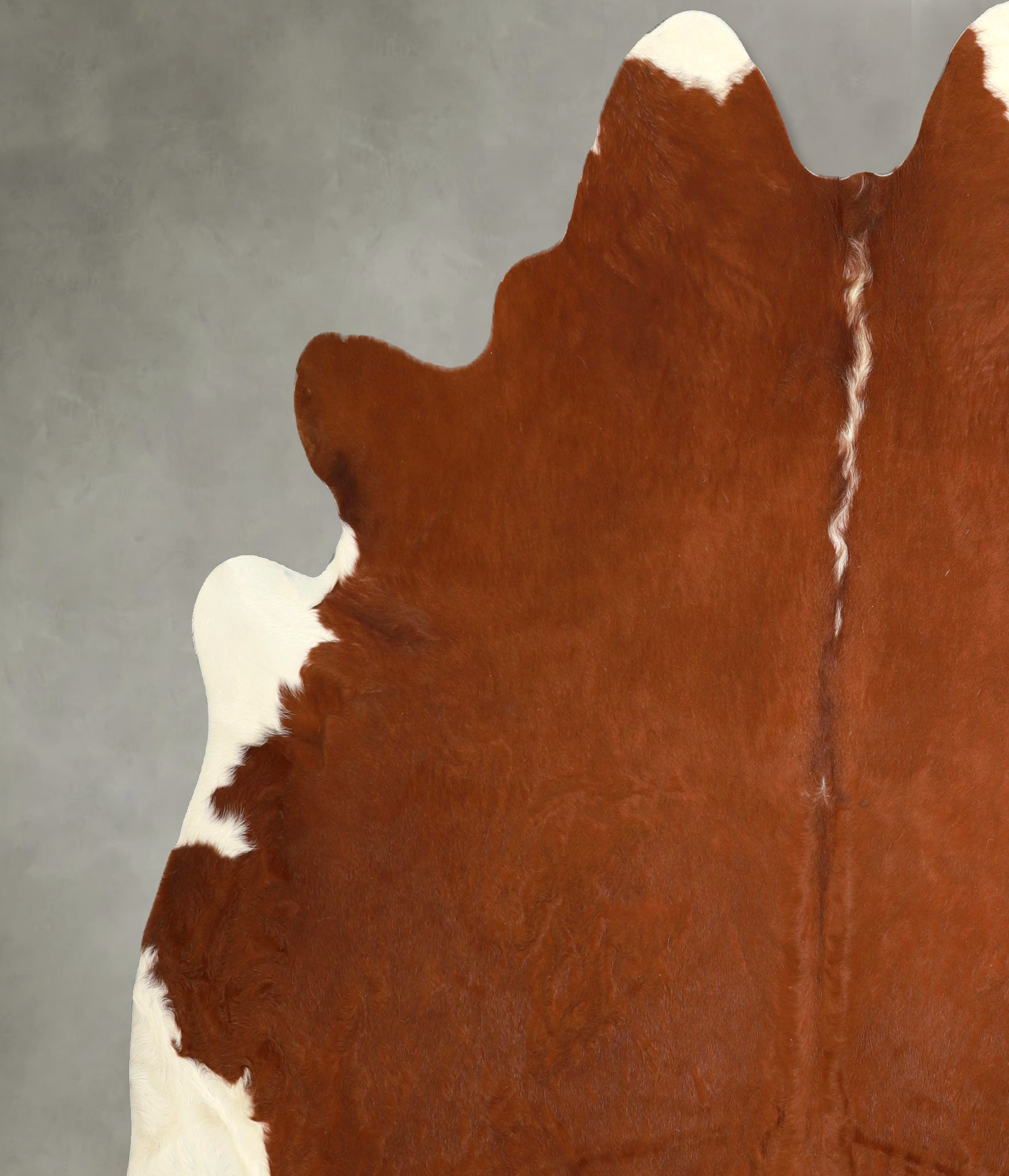 Brown and White Regular Cowhide Rug #A49762
