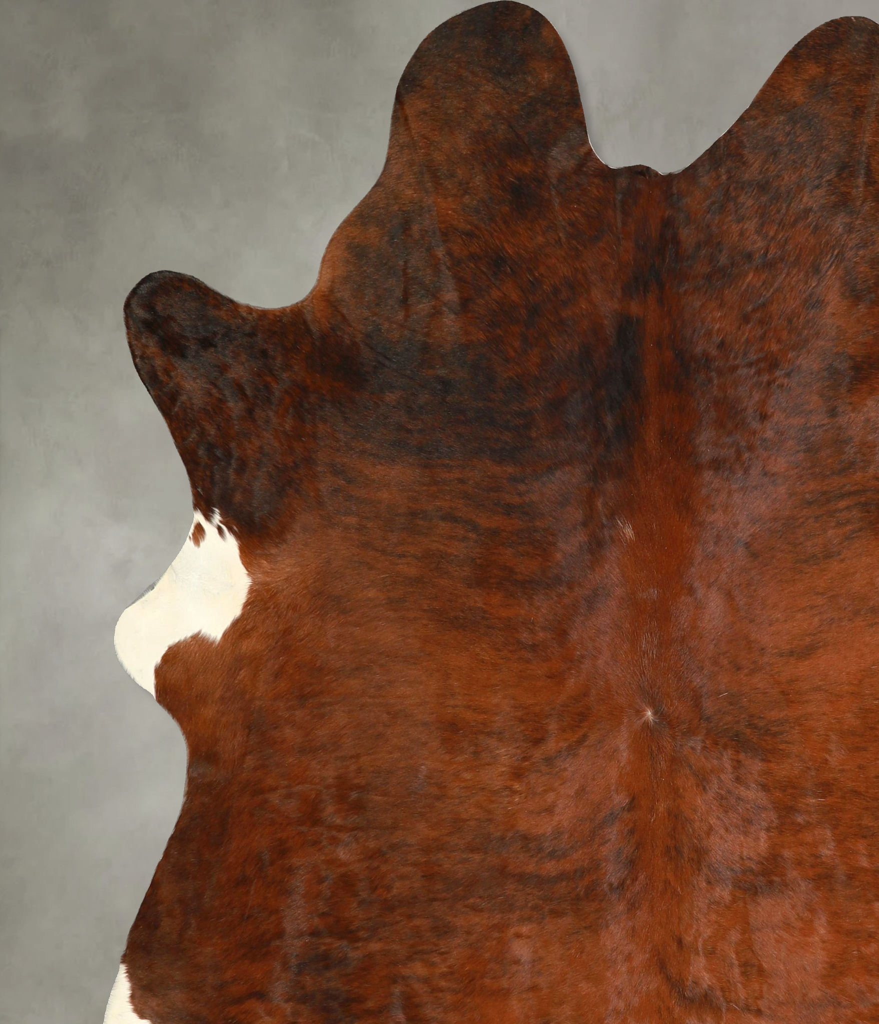 Medium Brindle Cowhide Rug #A49764