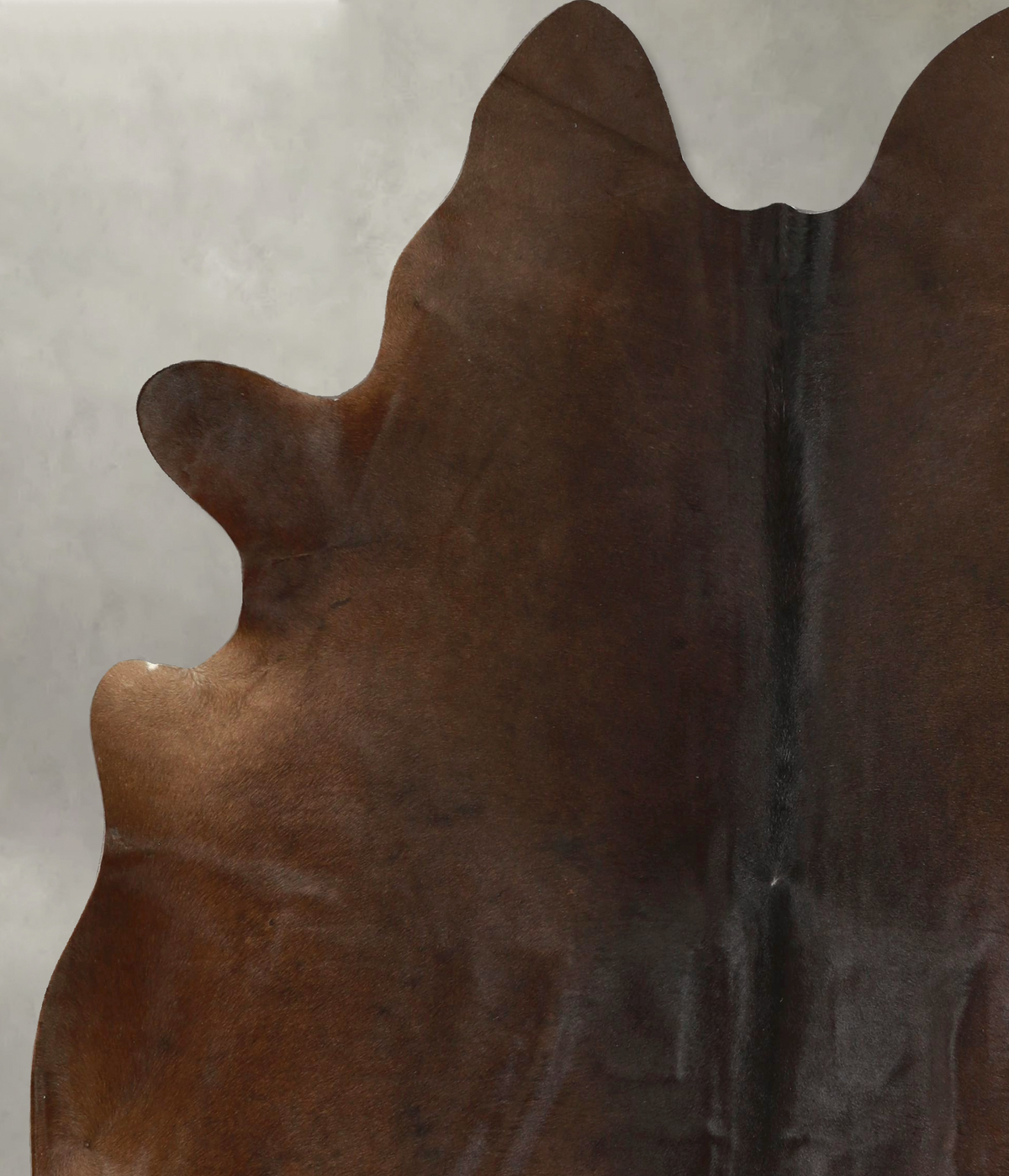 Chocolate X-Large Brazilian Cowhide Rug 6'10"H x 6'0"W #A49765 by Hudson Hides
