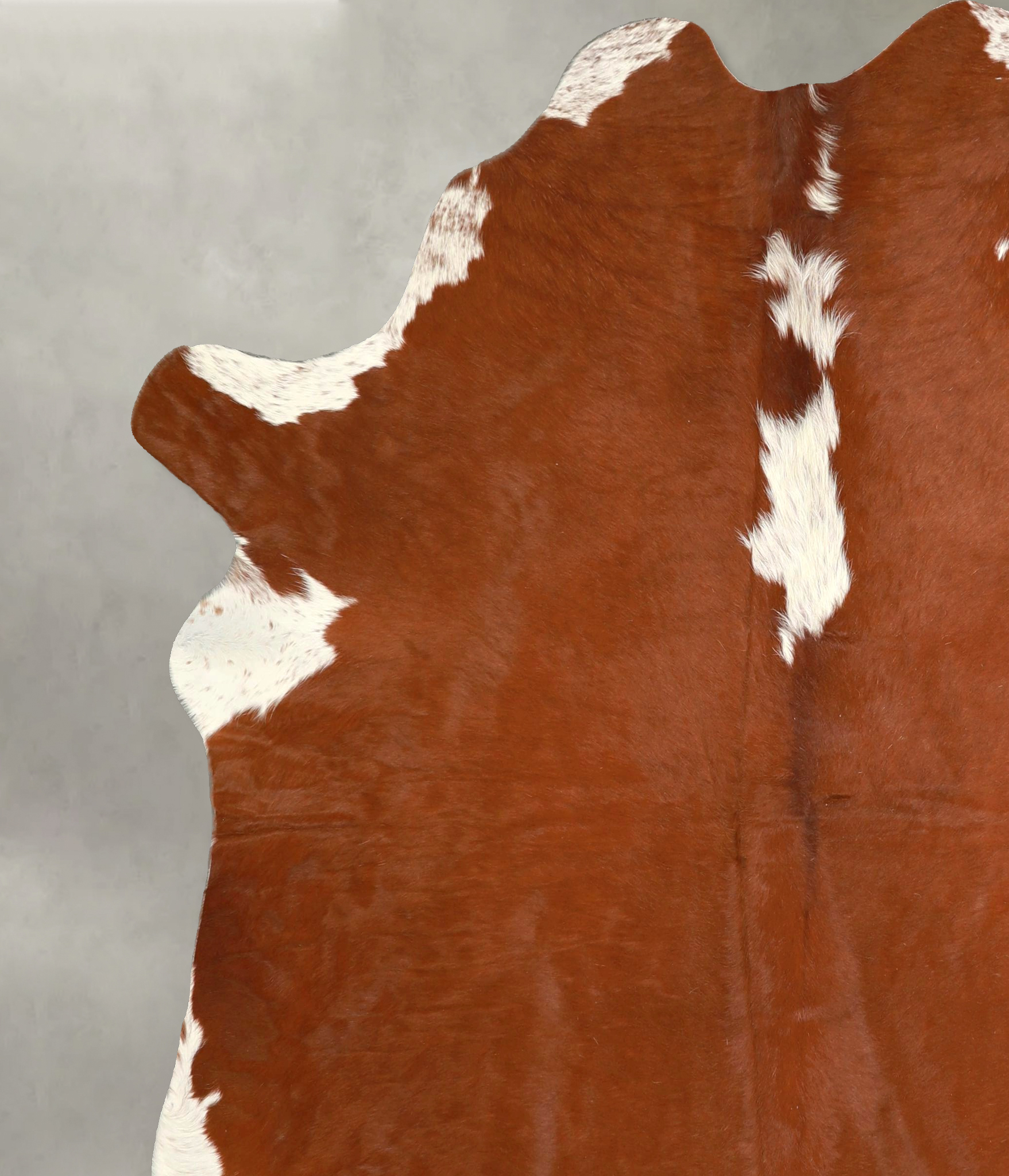 Hereford Cowhide Rug #A49769