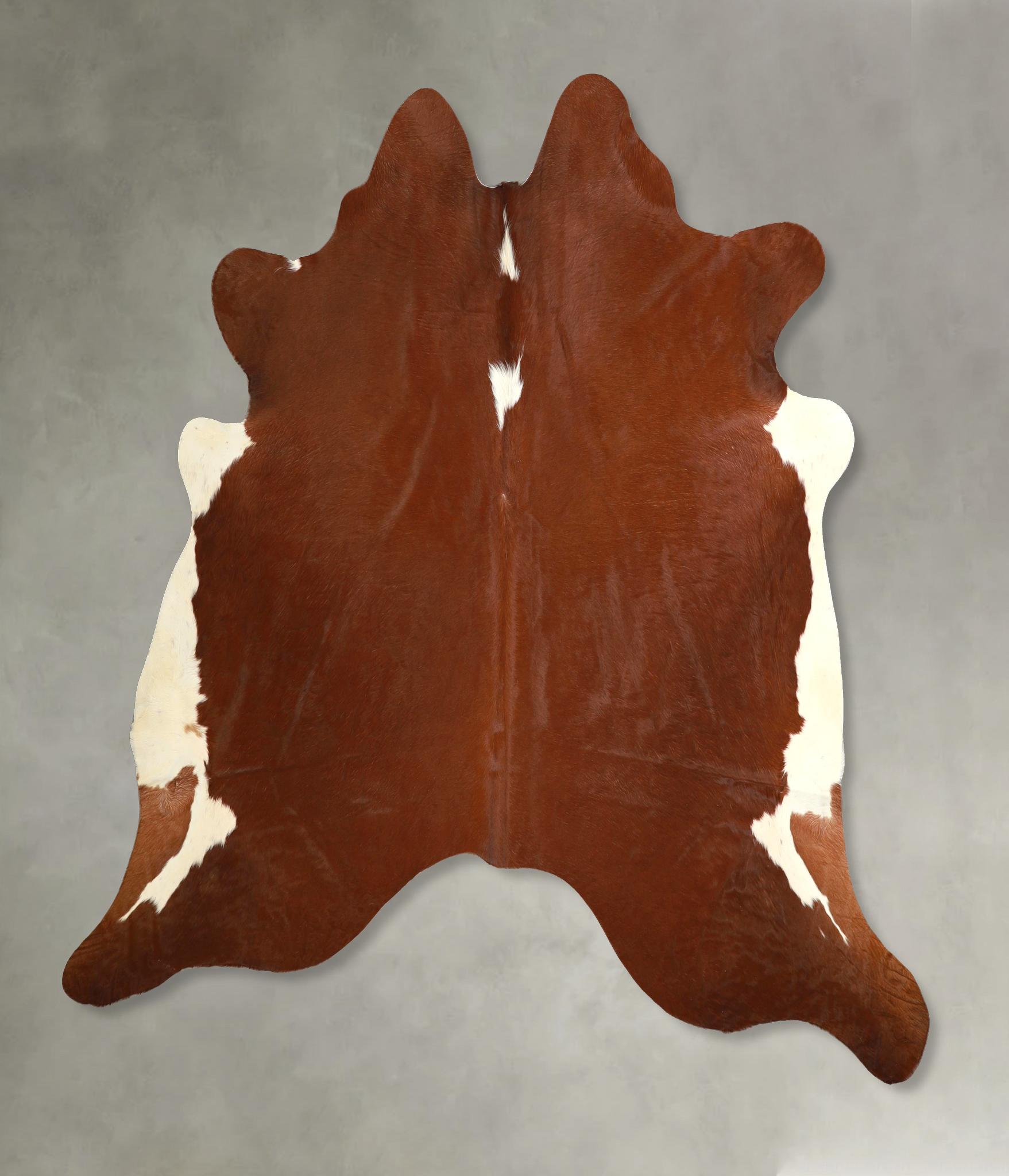 Brown and White Regular Cowhide Rug #A49773