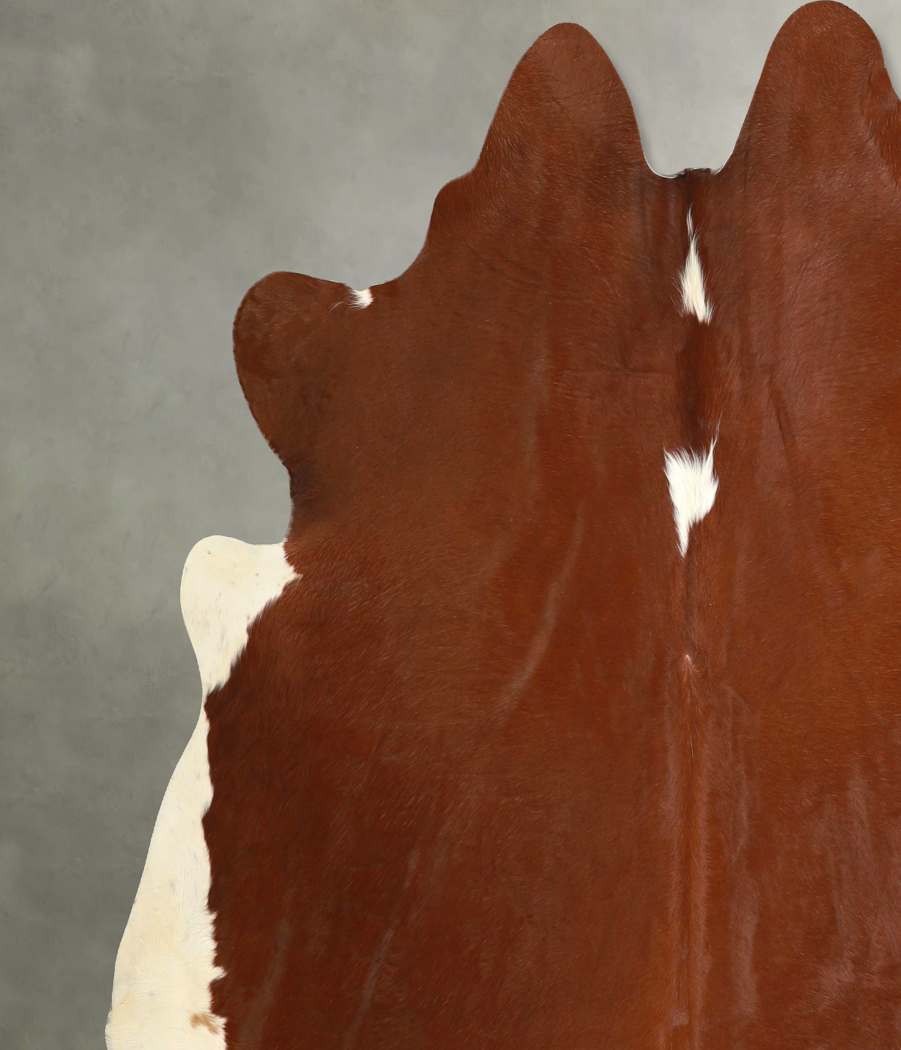Brown and White Regular Cowhide Rug #A49773