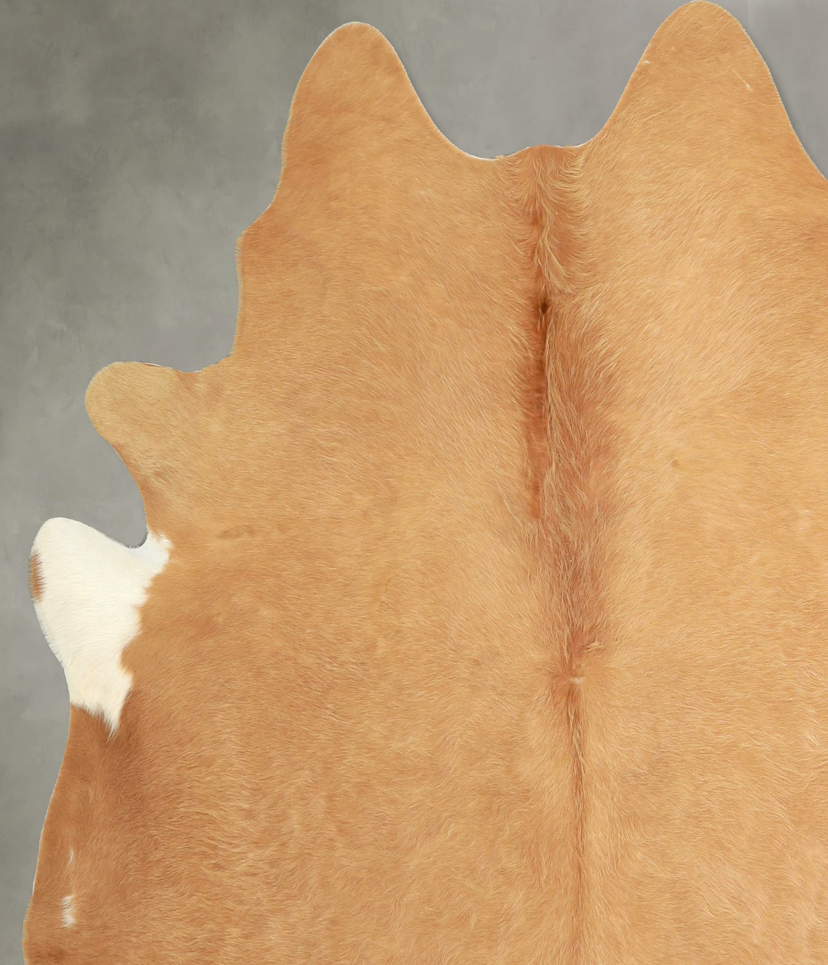 Beige X-Large Brazilian Cowhide Rug 6'10"H x 6'9"W #A49779 by Hudson Hides