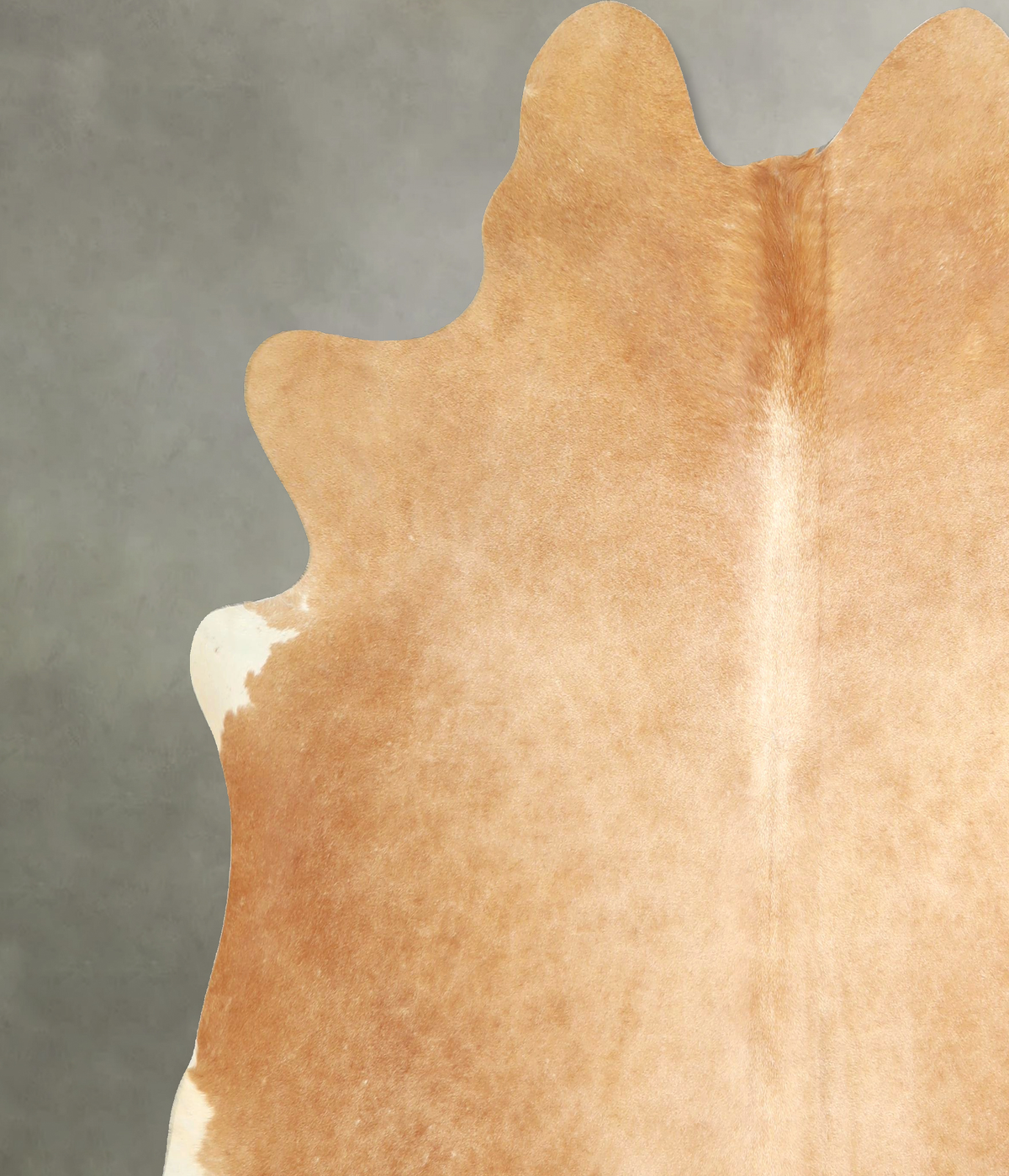 Beige XX-Large Brazilian Cowhide Rug 7'1"H x 7'3"W #A49780 by Hudson Hides