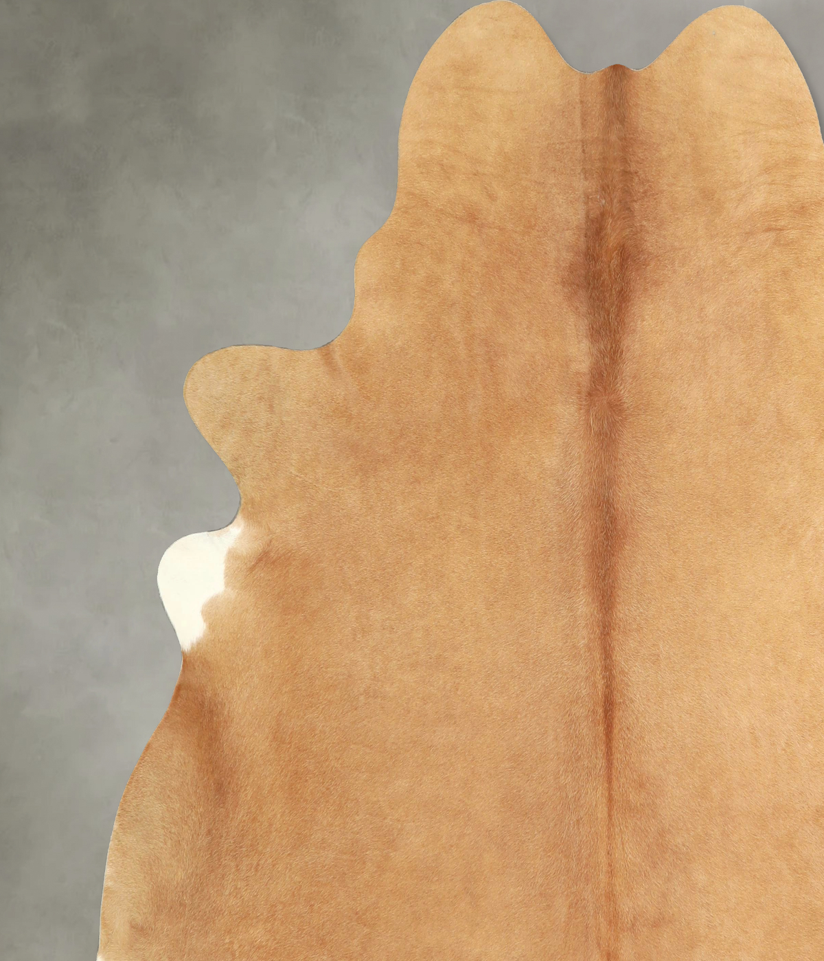 Beige XX-Large Brazilian Cowhide Rug 7'6"H x 7'6"W #A49782 by Hudson Hides