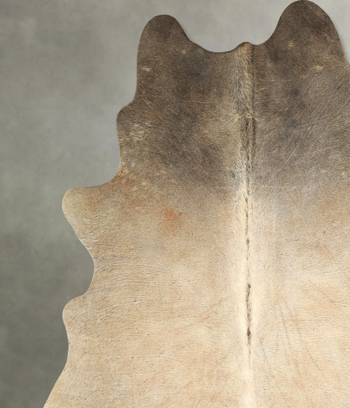 Grey with Beige XX-Large Brazilian Cowhide Rug 8'1"H x 6'11"W #A49785 by Hudson Hides