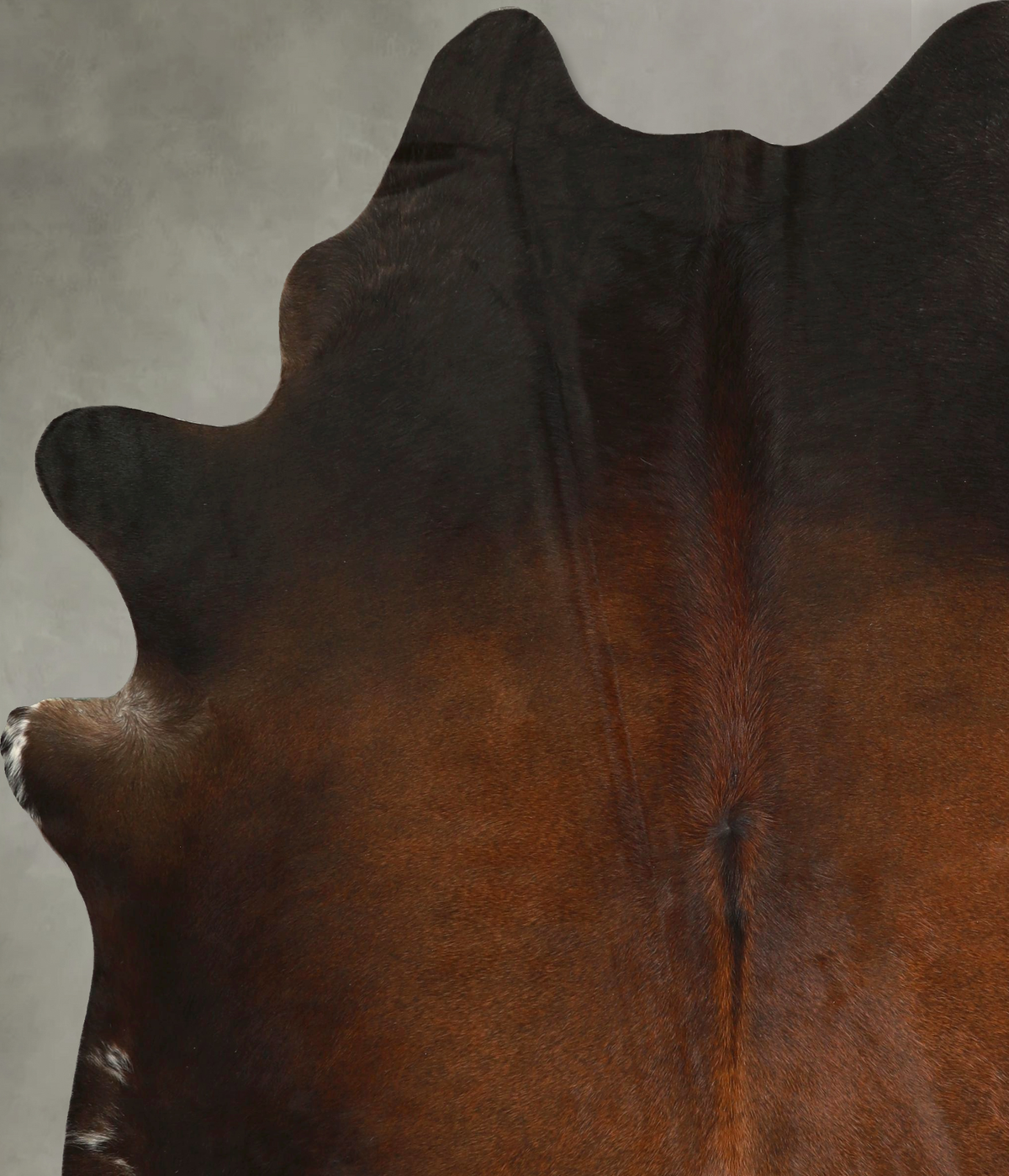 Chocolate X-Large Brazilian Cowhide Rug 7'4"H x 6'4"W #A49793 by Hudson Hides