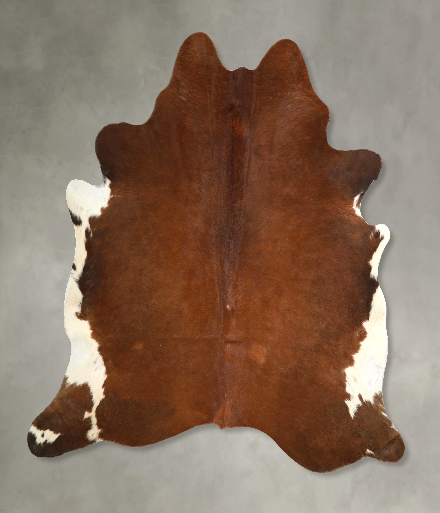 Brown and White Regular Cowhide Rug #A49798