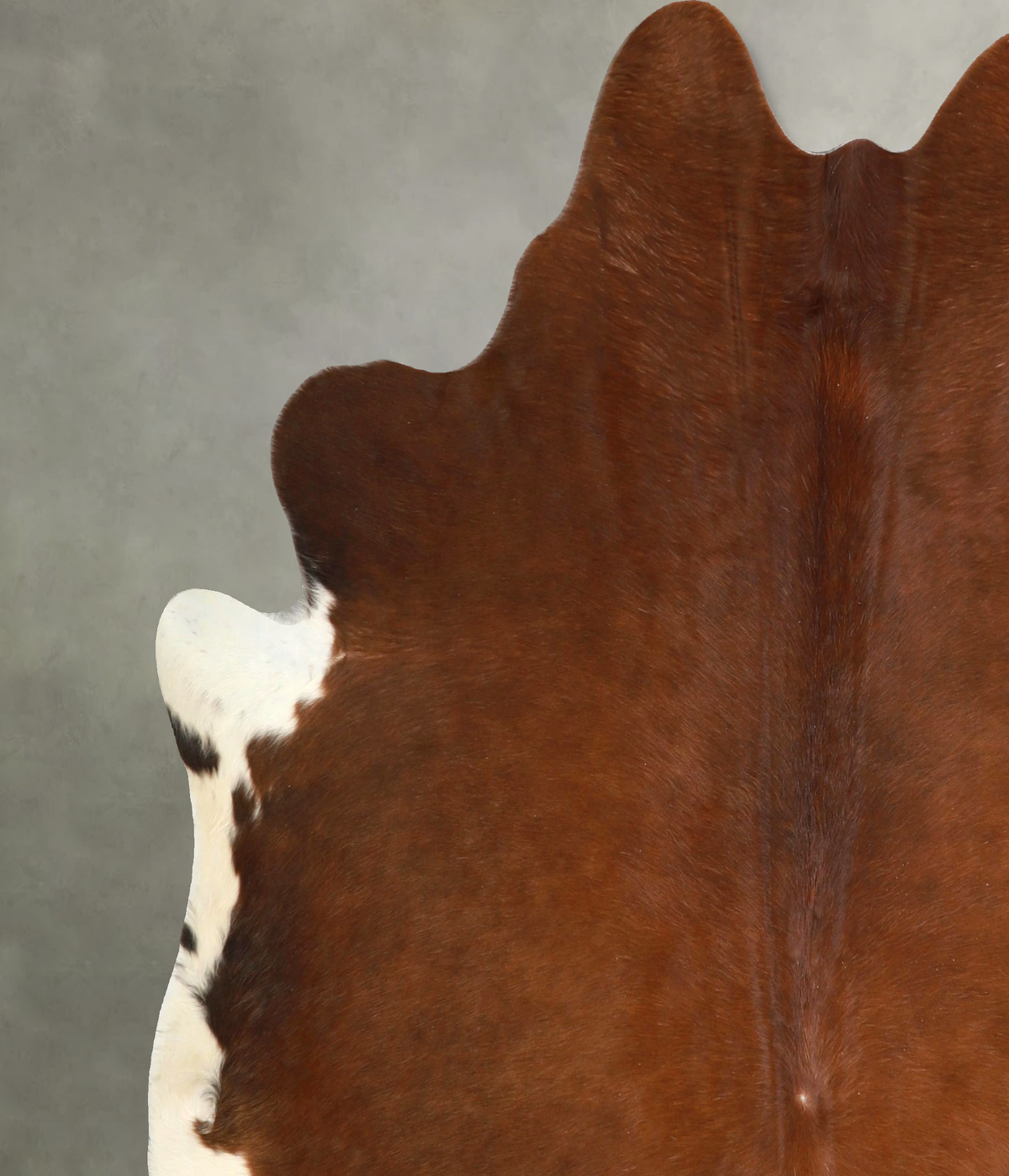 Brown and White Regular X-Large Brazilian Cowhide Rug 6'11"H x 6'8"W #A49798 by Hudson Hides
