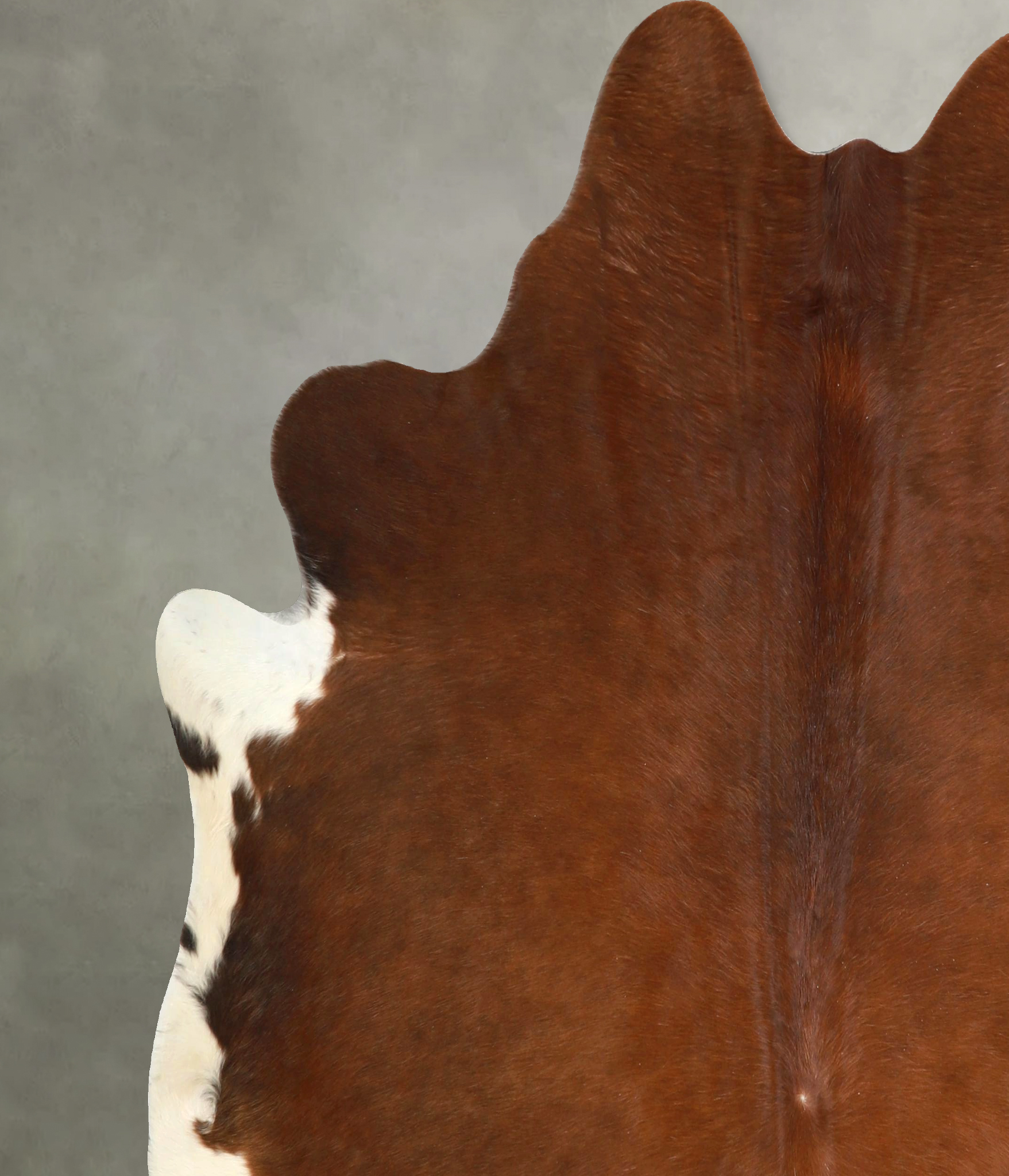Brown and White Regular Cowhide Rug #A49798