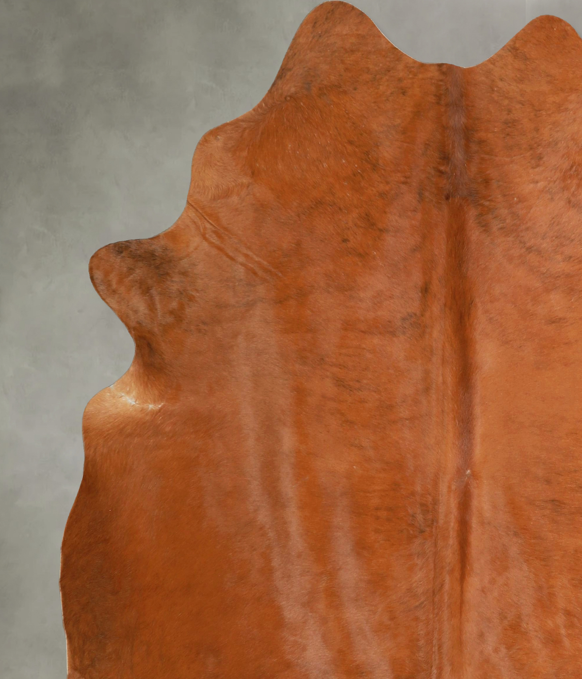 Solid Brown X-Large Brazilian Cowhide Rug 7'0"H x 6'2"W #A49800 by Hudson Hides