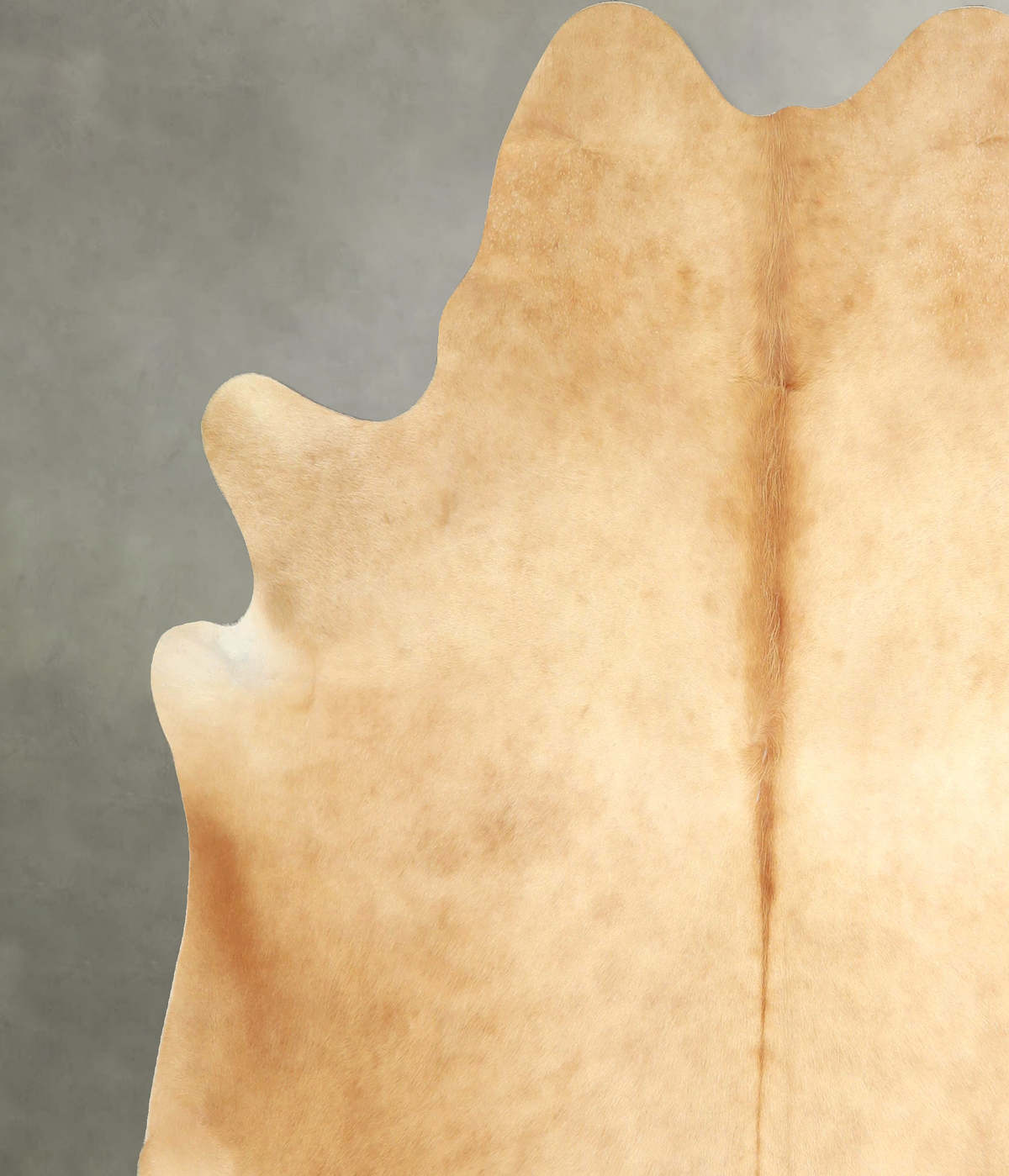 Beige XX-Large Brazilian Cowhide Rug 7'7"H x 7'1"W #A49803 by Hudson Hides