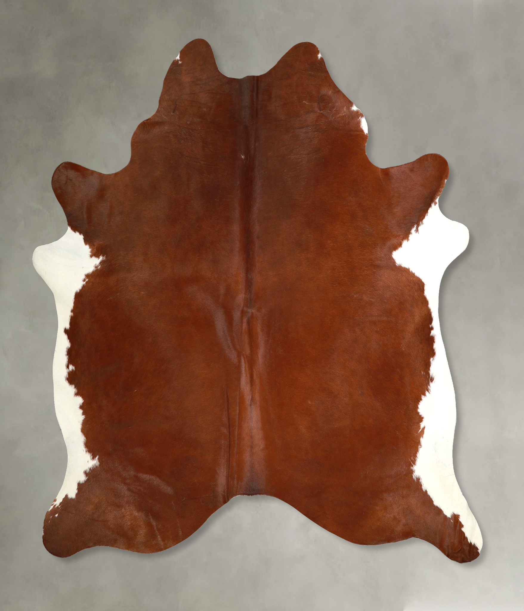Brown and White Regular Cowhide Rug #A49810