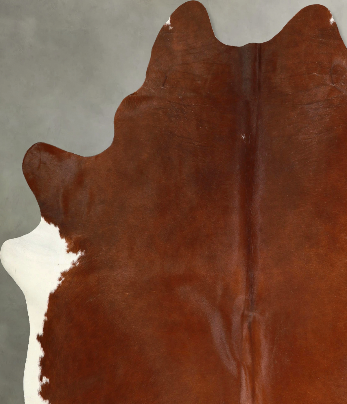 Brown and White Regular XX-Large Brazilian Cowhide Rug 7'7"H x 6'10"W #A49810 by Hudson Hides