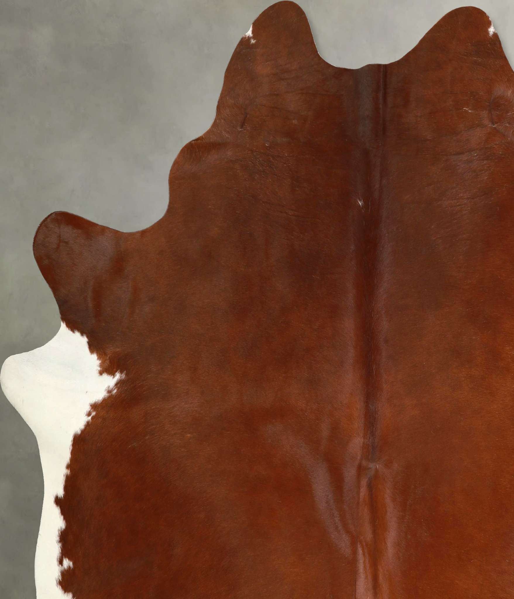 Brown and White Regular Cowhide Rug #A49810