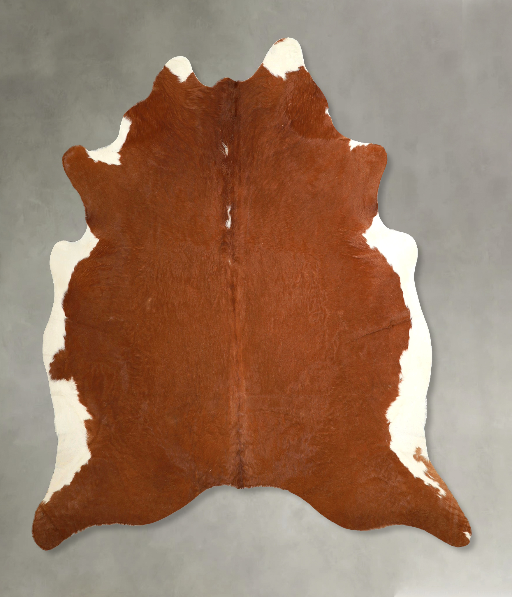 Brown and White Regular Cowhide Rug #A49814