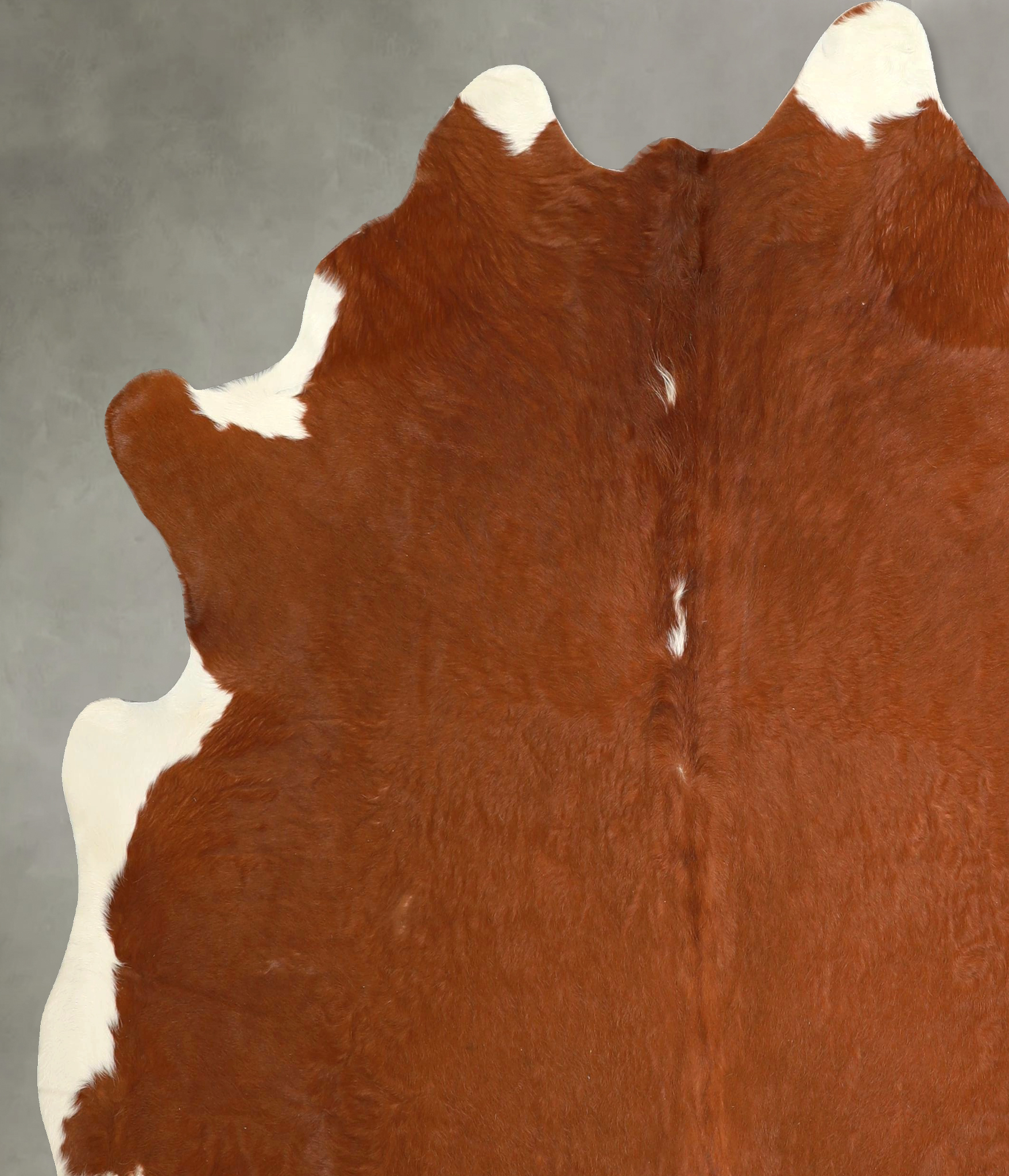 Brown and White Regular Cowhide Rug #A49814