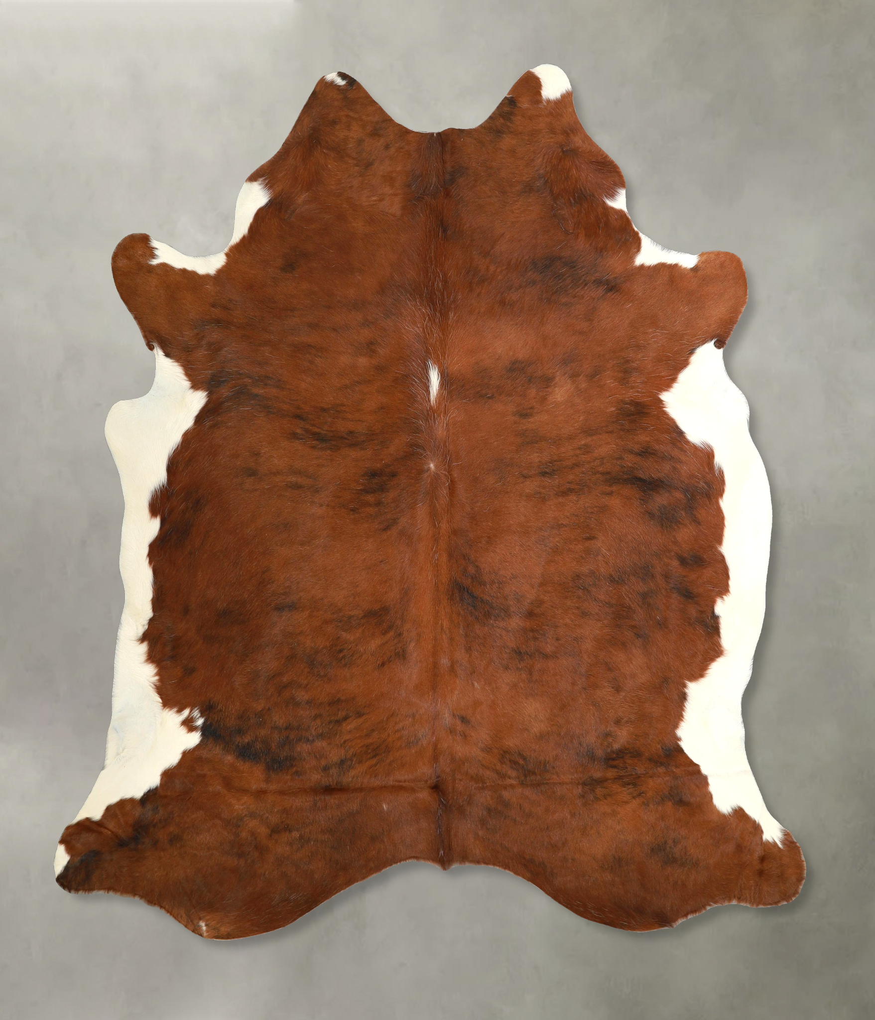 Tricolor Cowhide Rug #A49849