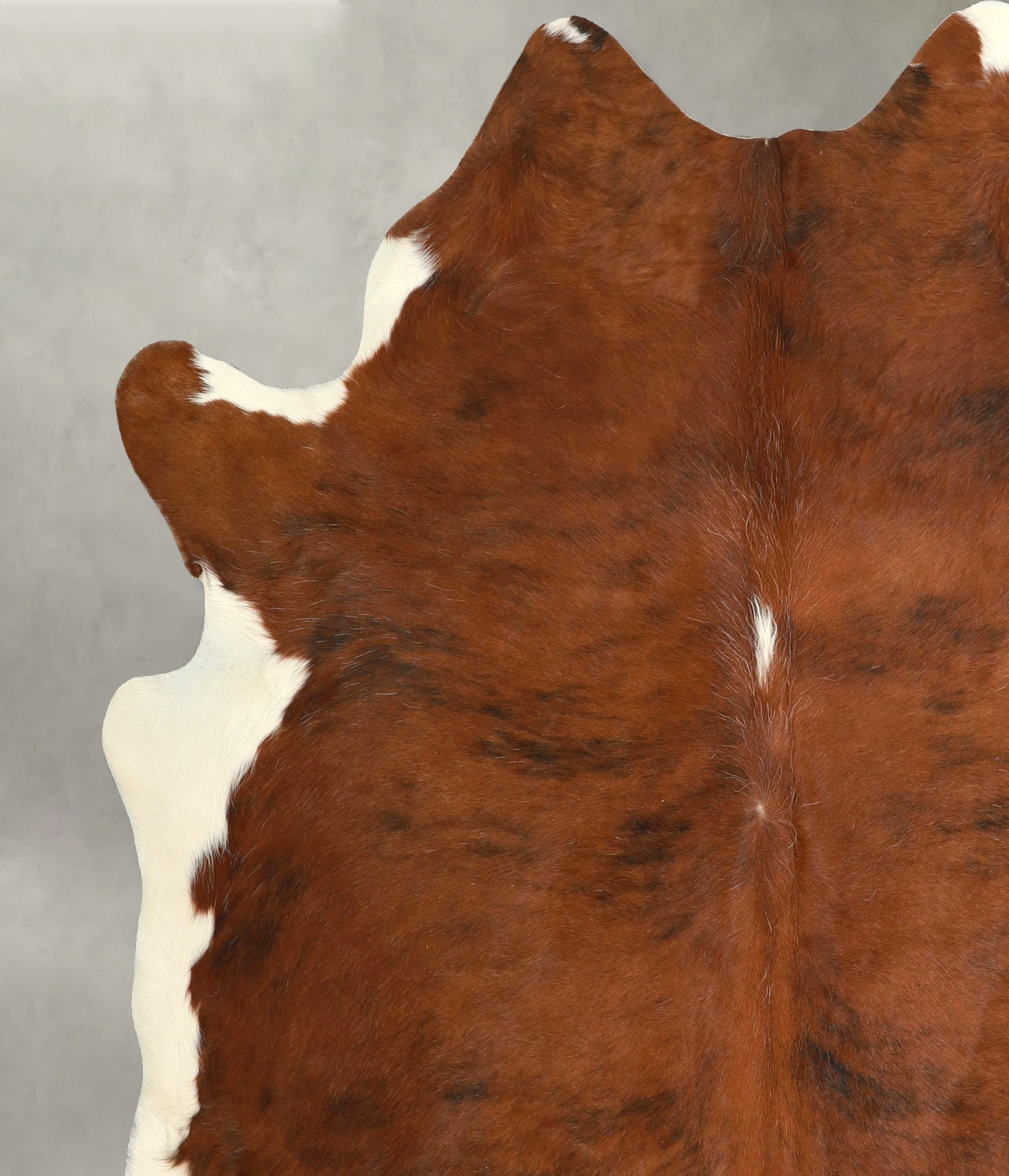 Tricolor Cowhide Rug #A49849