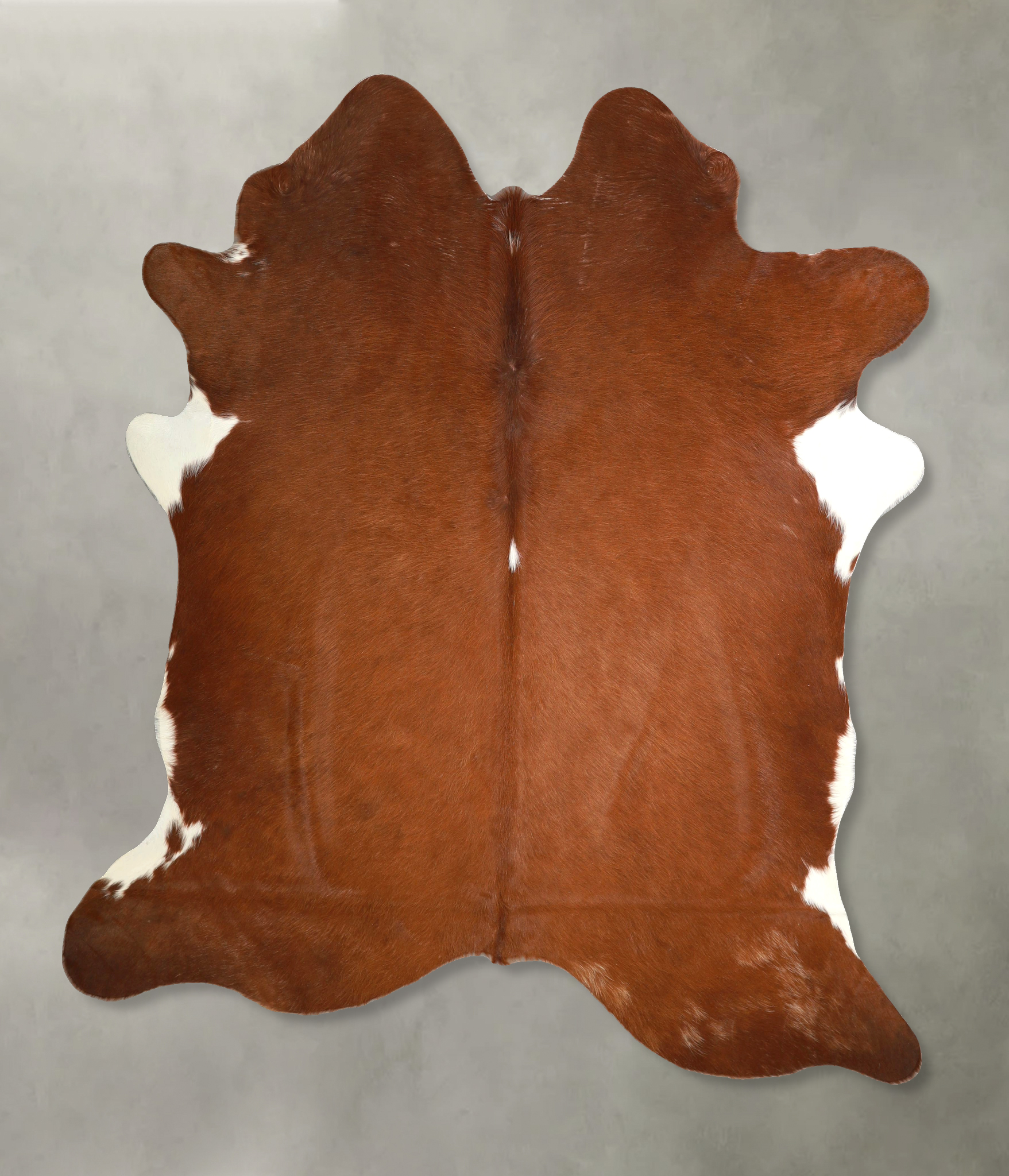 Brown and White Regular Cowhide Rug #A49851