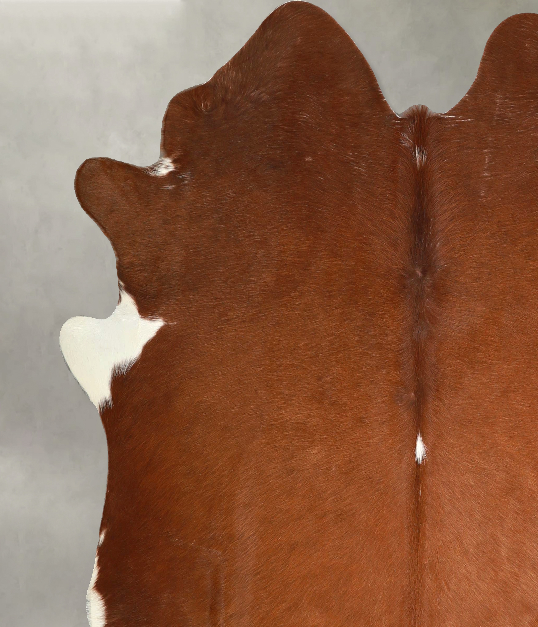 Brown and White Regular Cowhide Rug #A49851