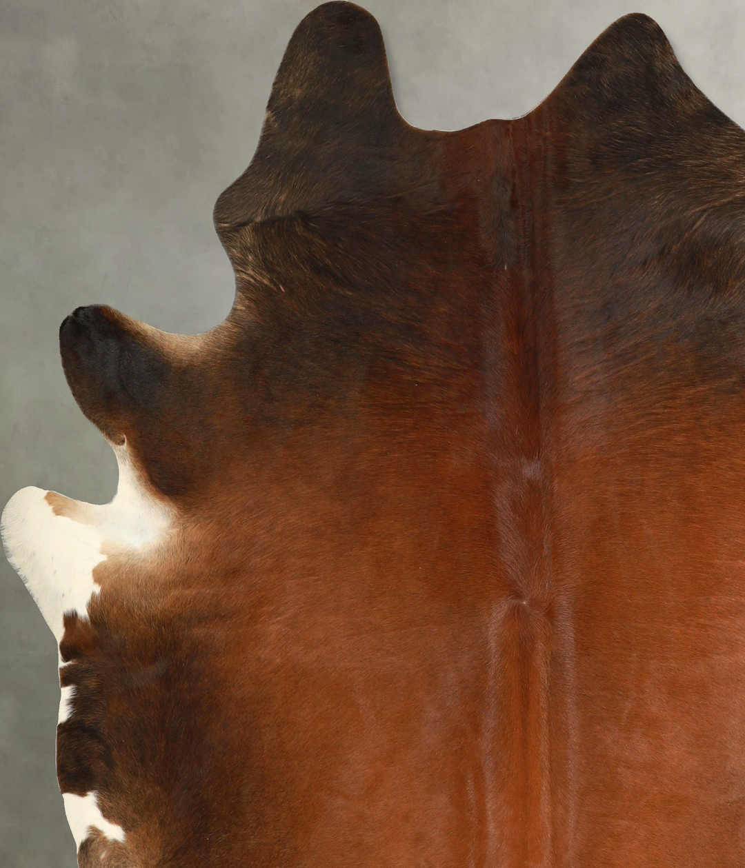 Warm Caramel XX-Large Brazilian Cowhide Rug 7'10"H x 6'11"W #A49861 by