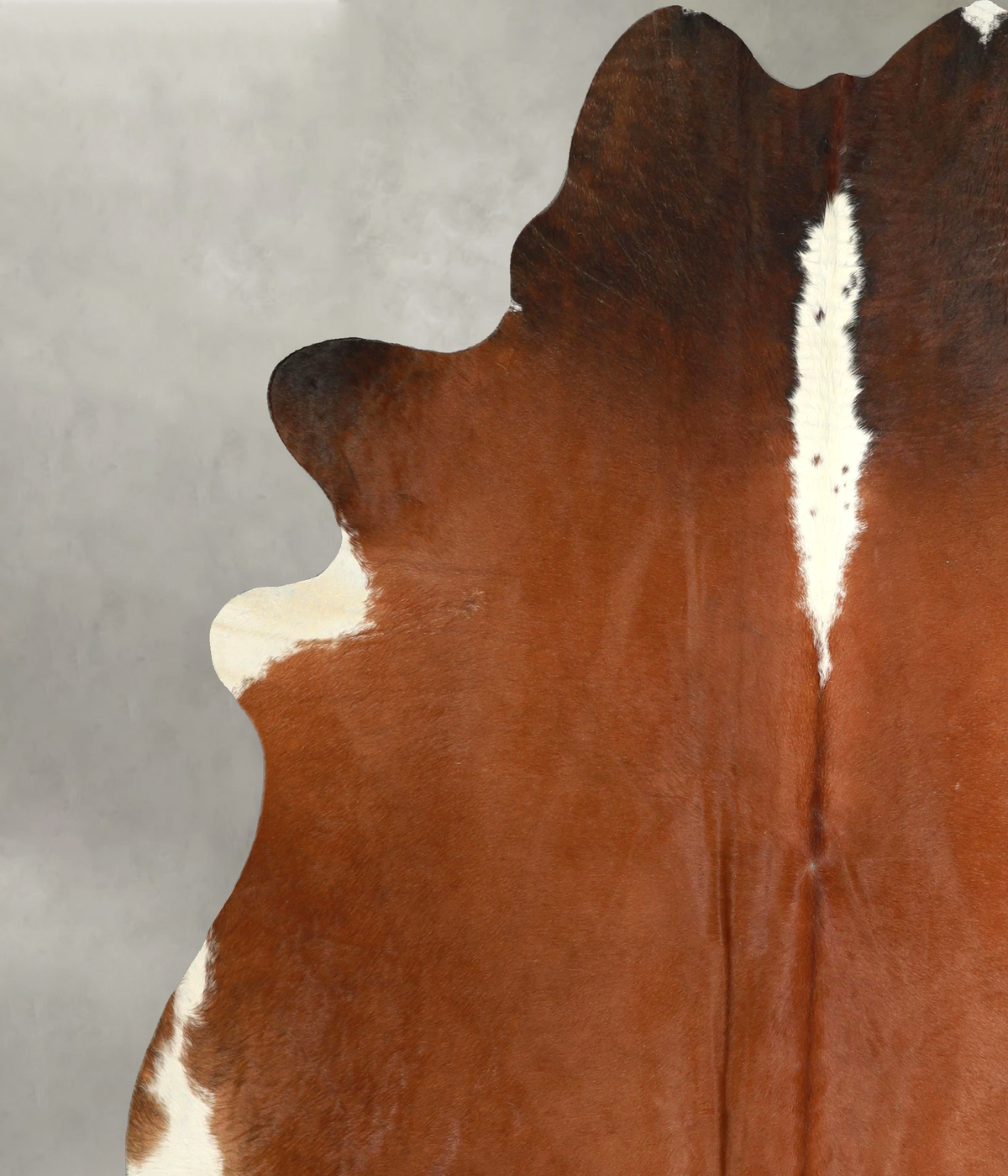 Chocolate and White Cowhide Rug #A49866