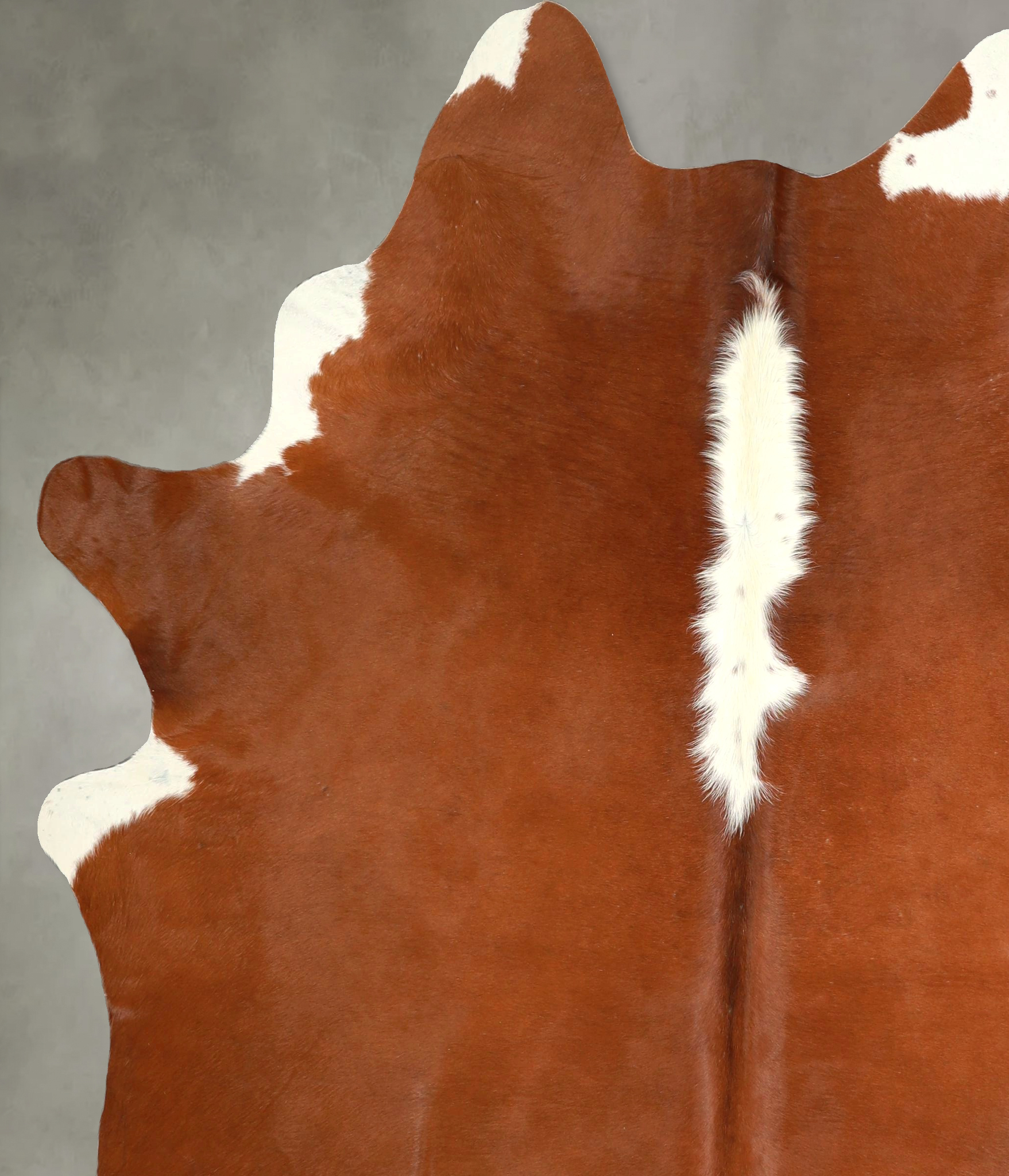 Hereford Cowhide Rug #A49871