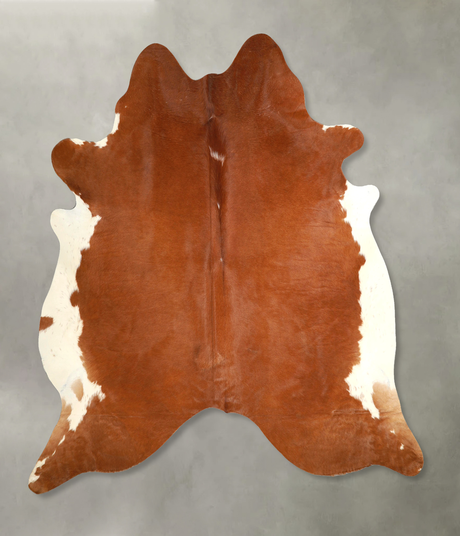 Brown and White Regular Cowhide Rug #A49879