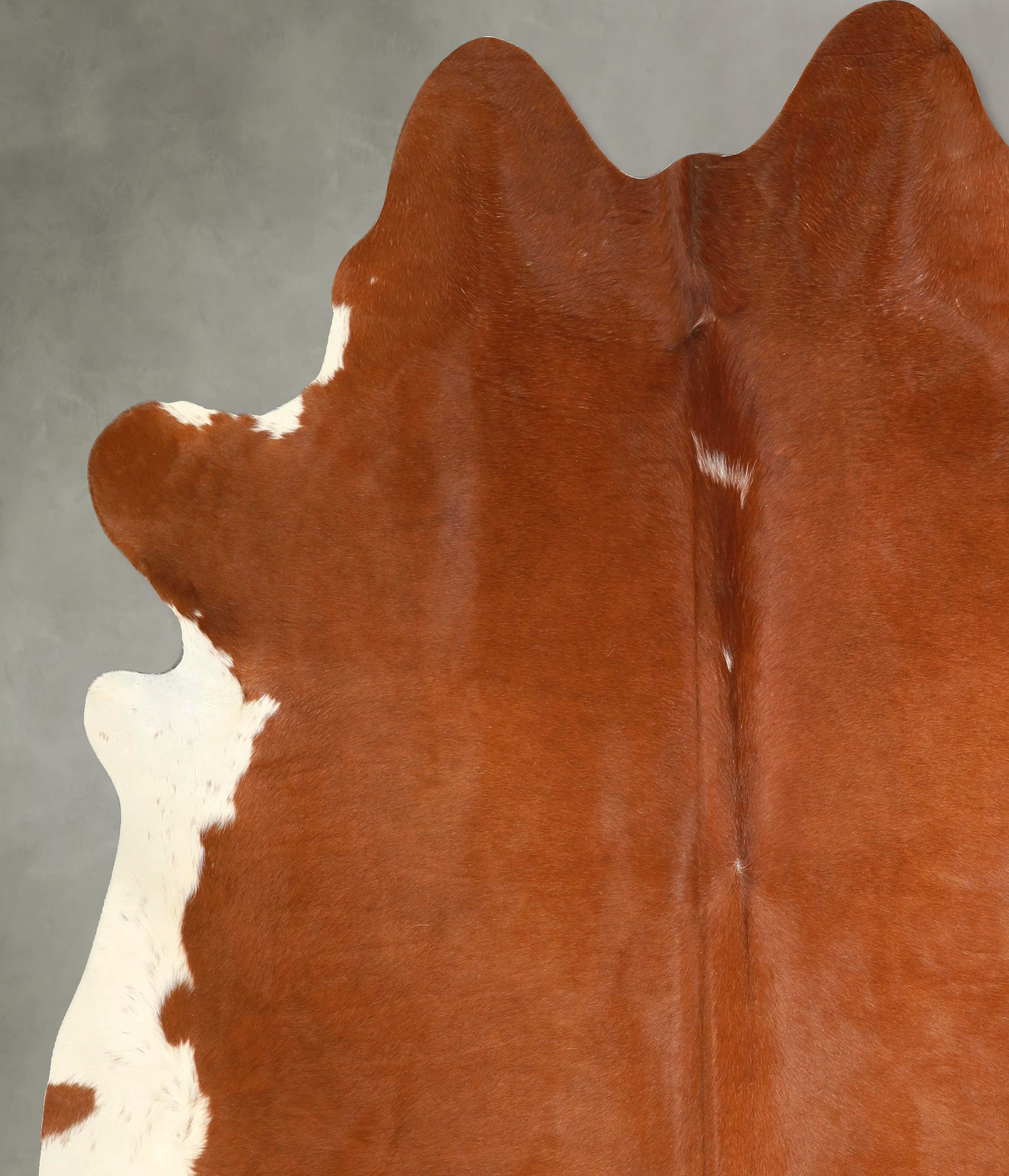 Brown and White Regular Cowhide Rug #A49879