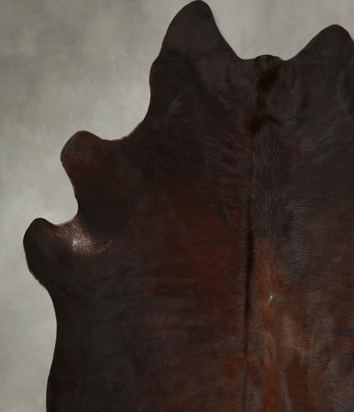 Chocolate X-Large Brazilian Cowhide Rug 6'10"H x 6'5"W #A49883 by Hudson Hides