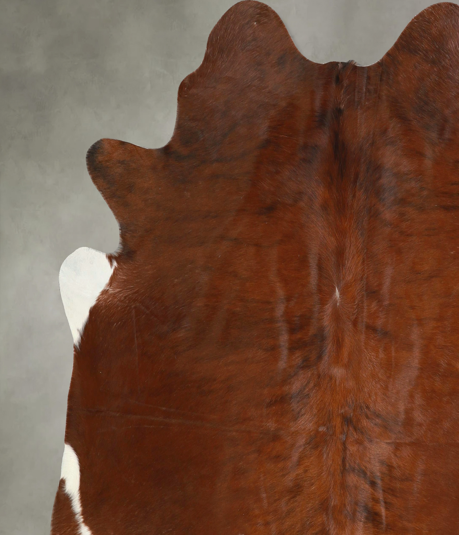 Medium Brindle Cowhide Rug #A49891