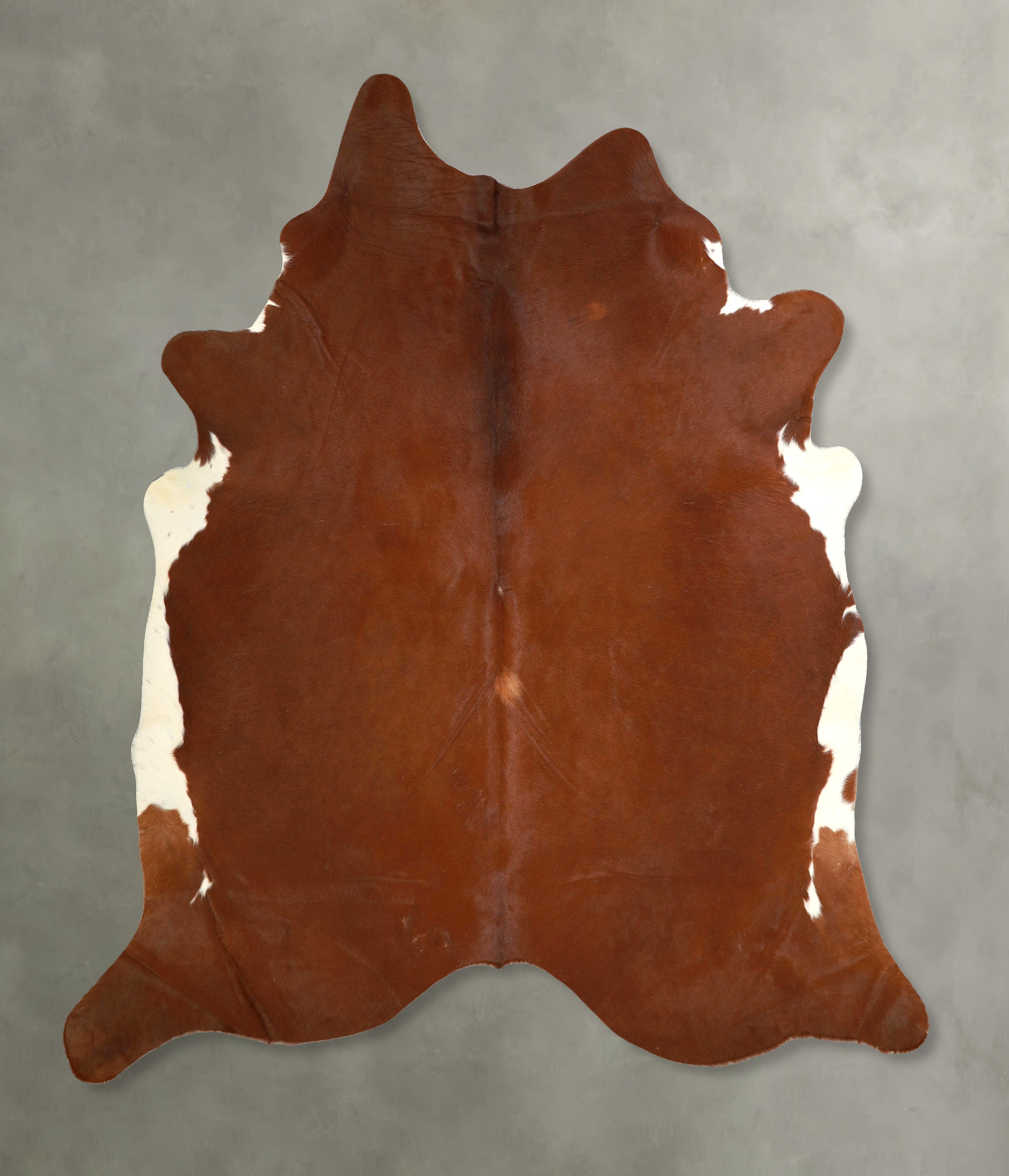 Brown and White Regular Cowhide Rug #A49892