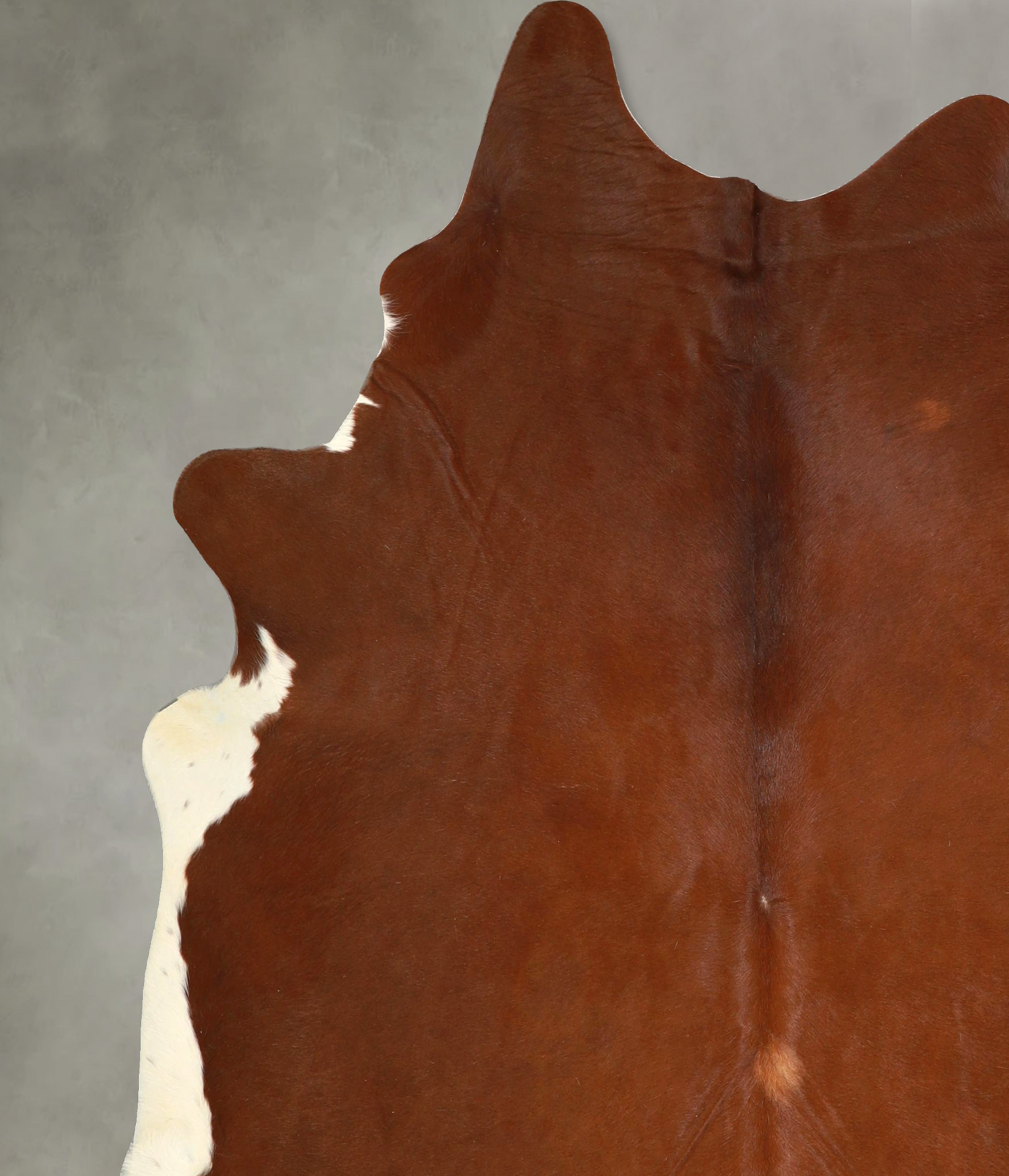 Brown and White Regular Cowhide Rug #A49892