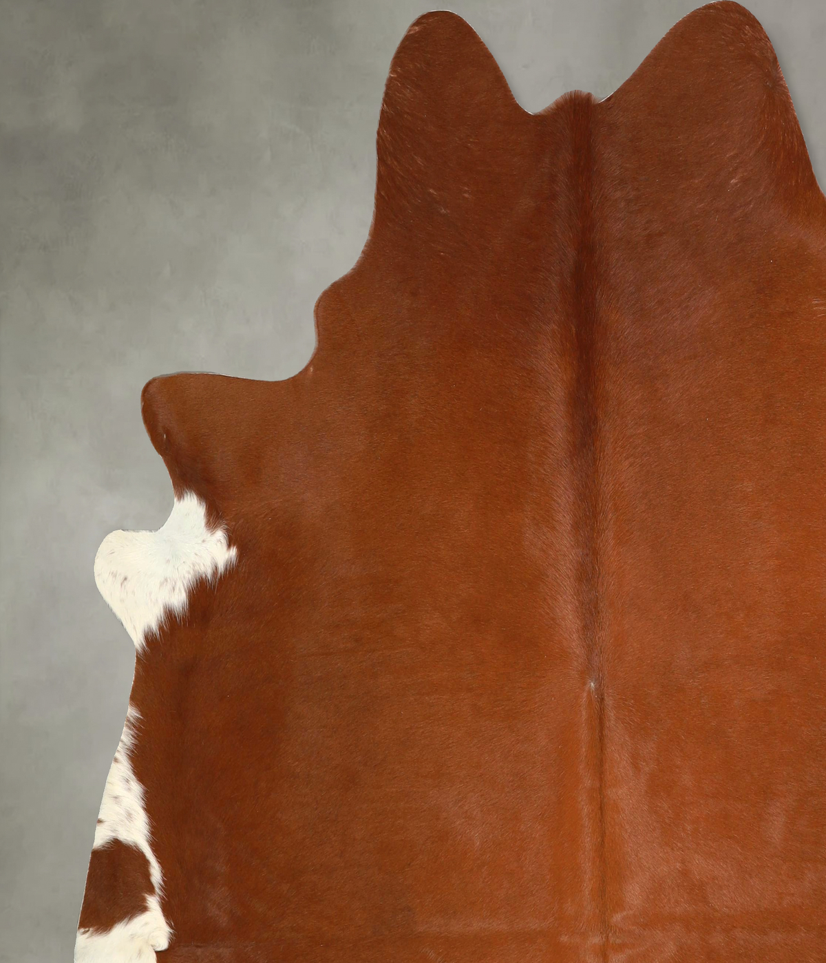 Brown and White Regular X-Large Brazilian Cowhide Rug 6'10"H x 6'11"W #A49893 by Hudson Hides