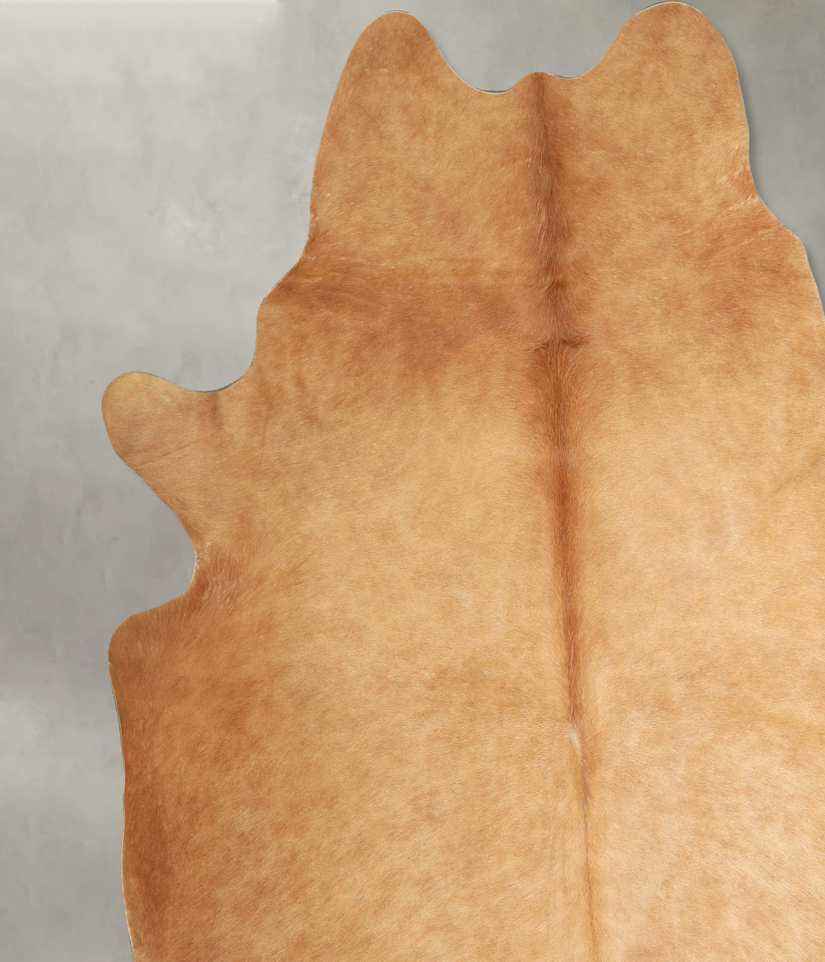Beige XX-Large Brazilian Cowhide Rug 7'11"H x 7'3"W #A49894 by Hudson Hides